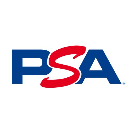 PSA再鑑定 REVIEW