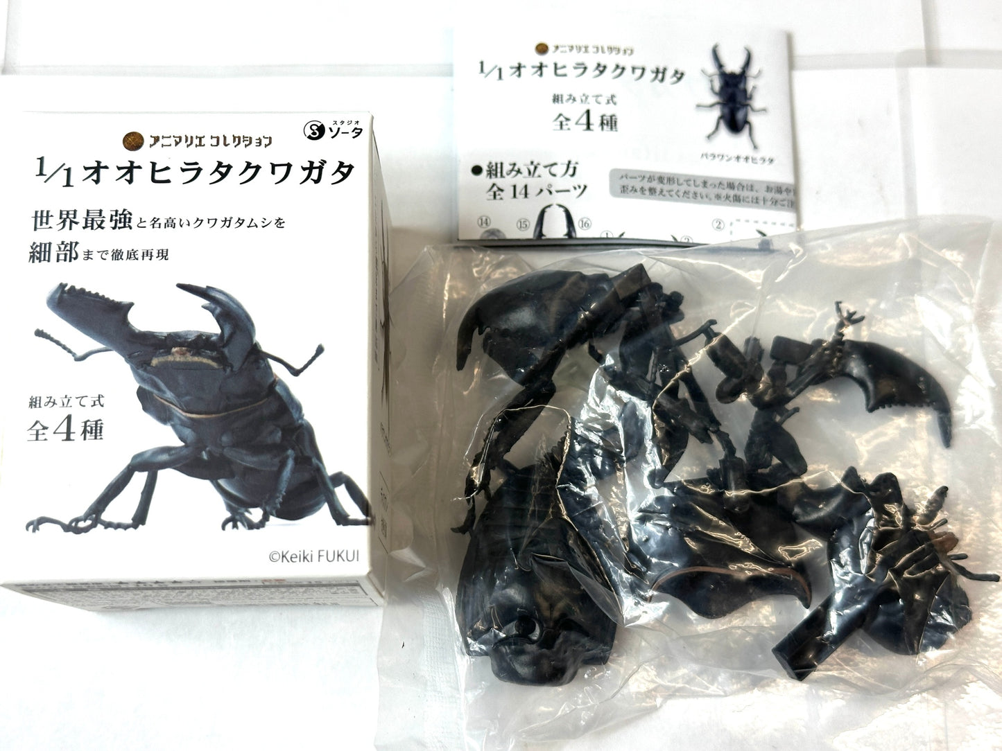 内装未開封品 アニマリエコレクション 1/1オオヒラタクワガタ 2個セット 組み立て式 スタジオソータ フィギュア 10/10