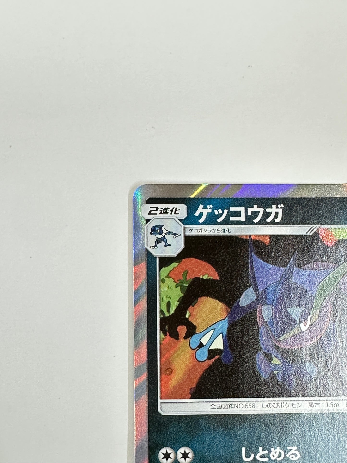 028/055 ゲッコウガ 【状態B】