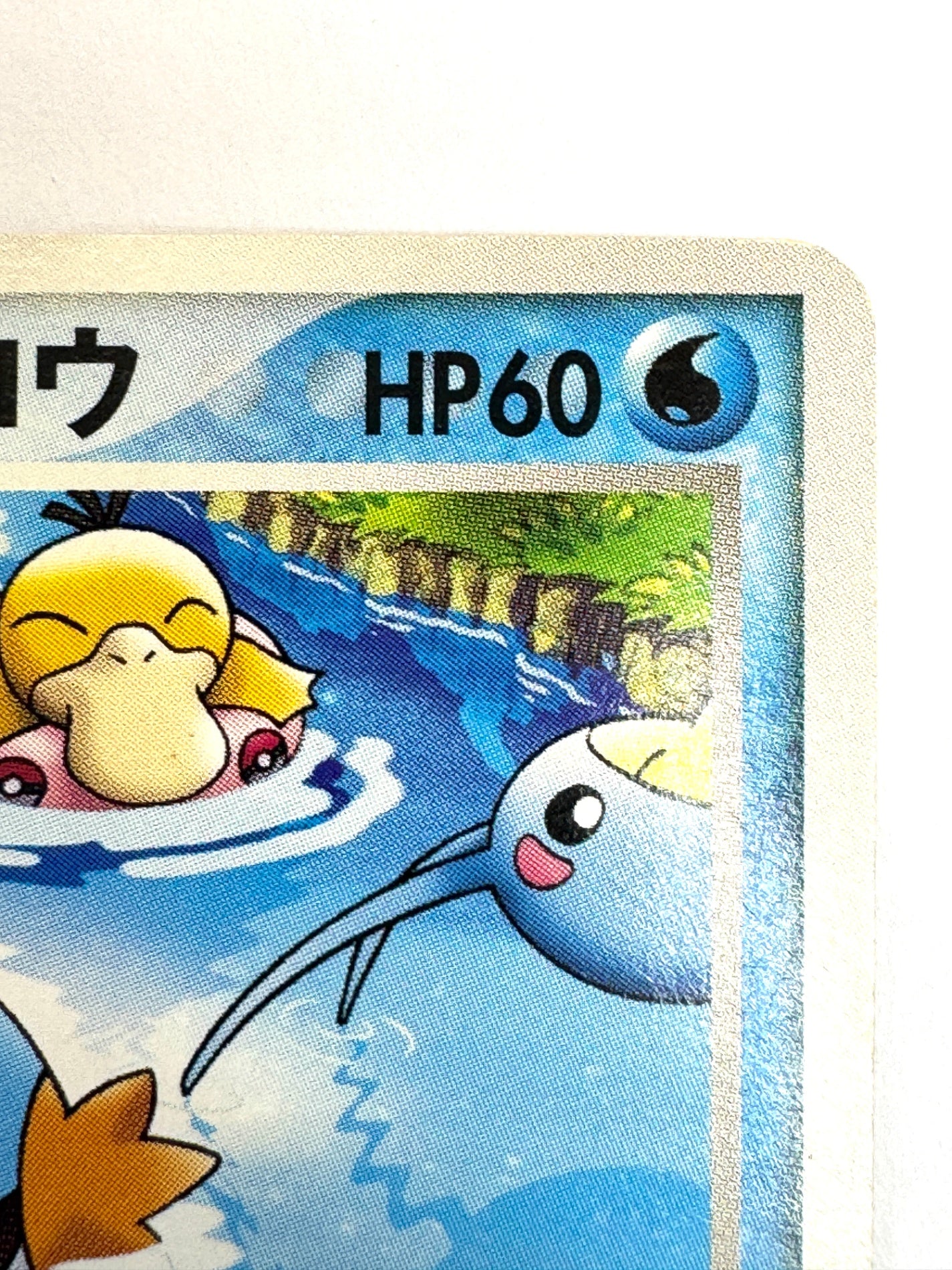 048/PCG-P ポケパークのミズゴロウ 【状態C】