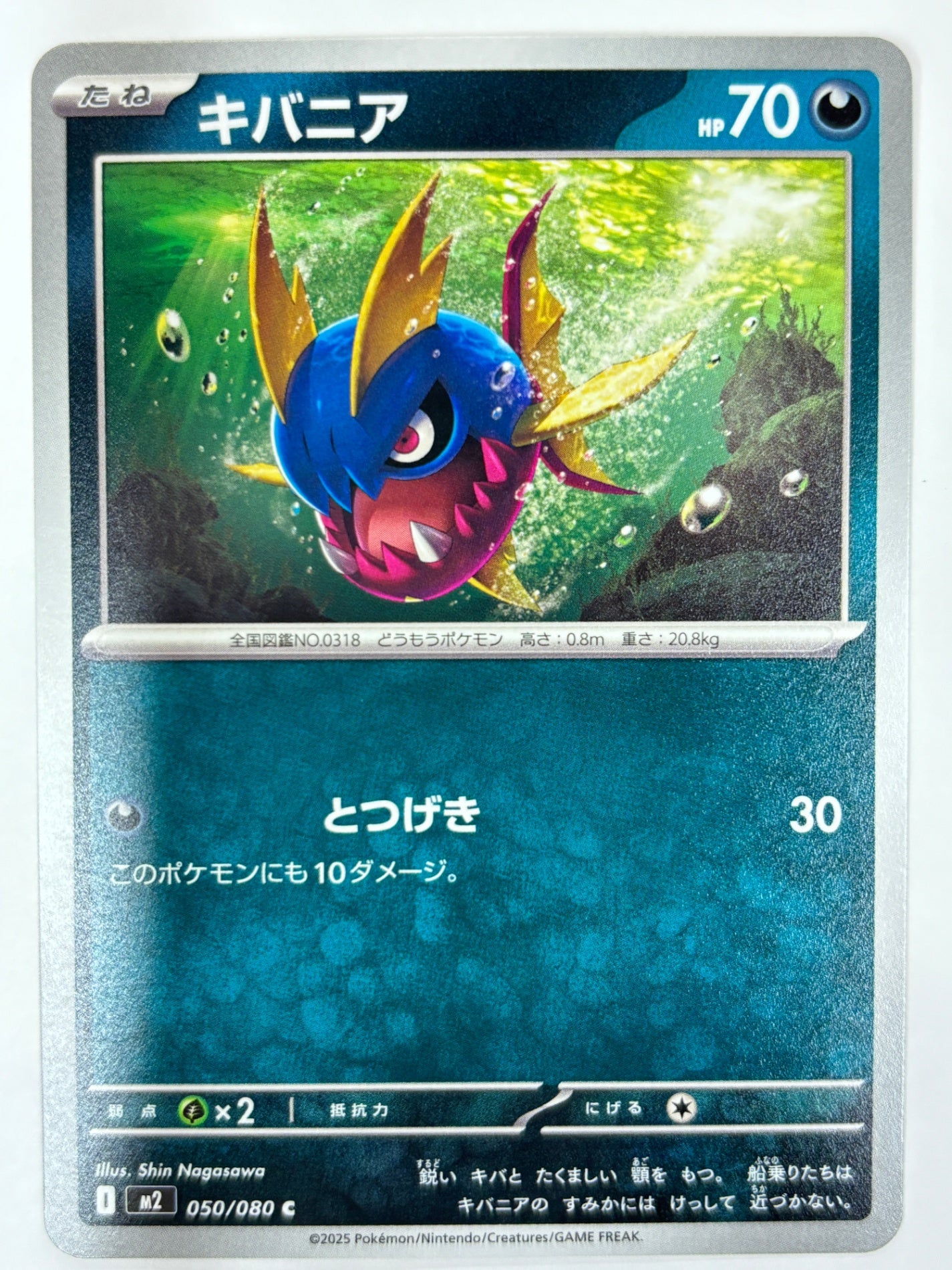 050/080 キバニア