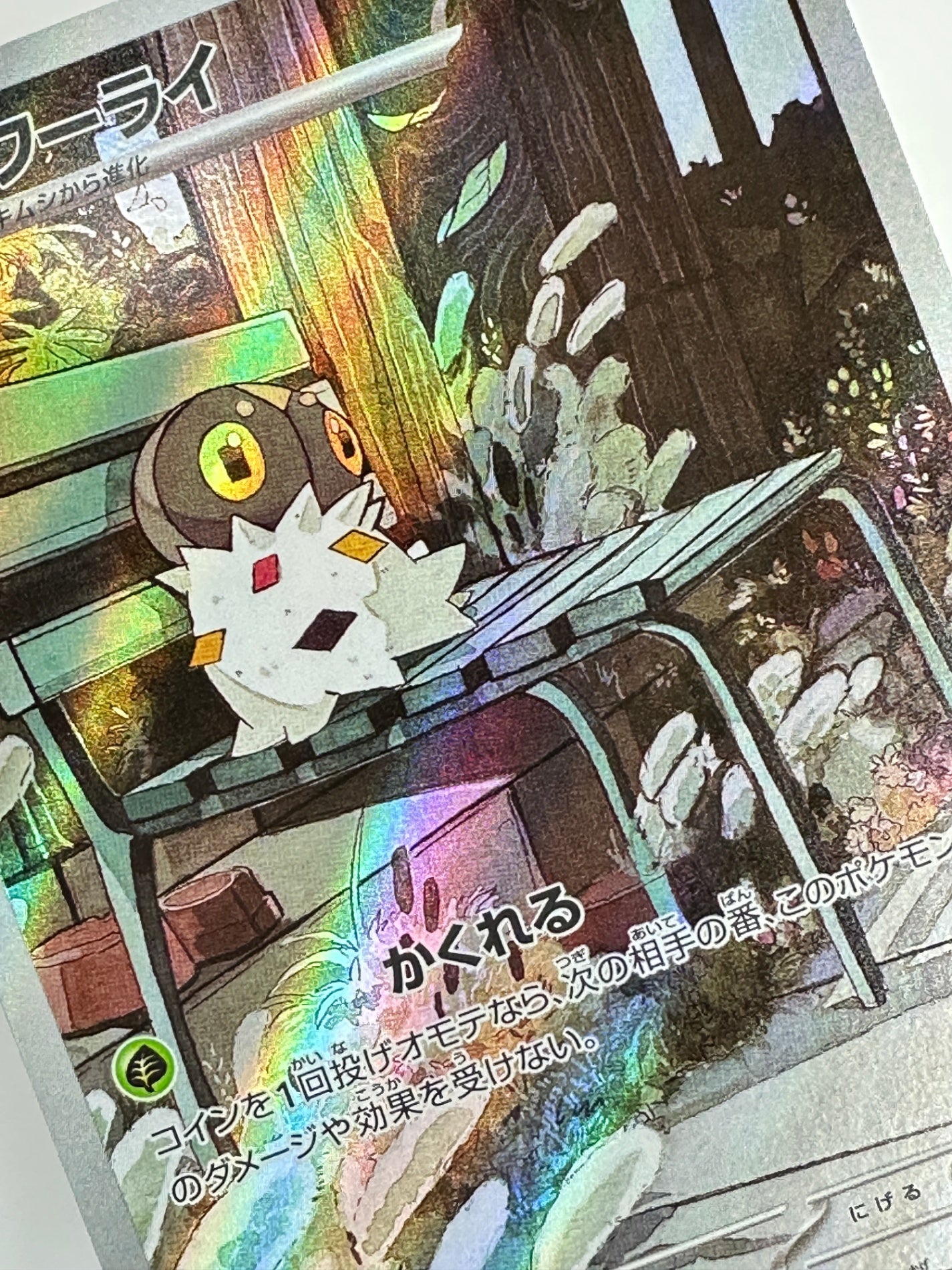 081/080 コフーライ