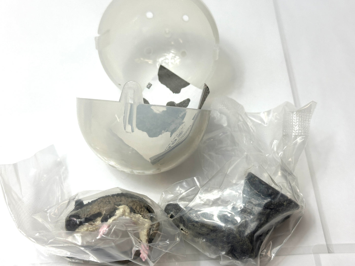 いきもの大図鑑 指まきコレクション 小動物 7個セット フクロモモンガ ハムスター BANDAI ガシャポン フィギュア 8/22