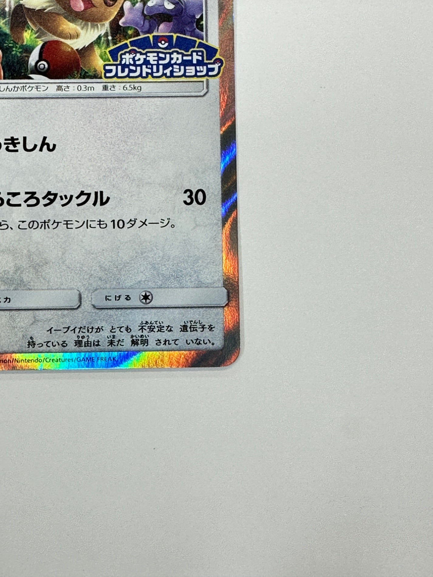 306/SM-P イーブイ 【状態B】