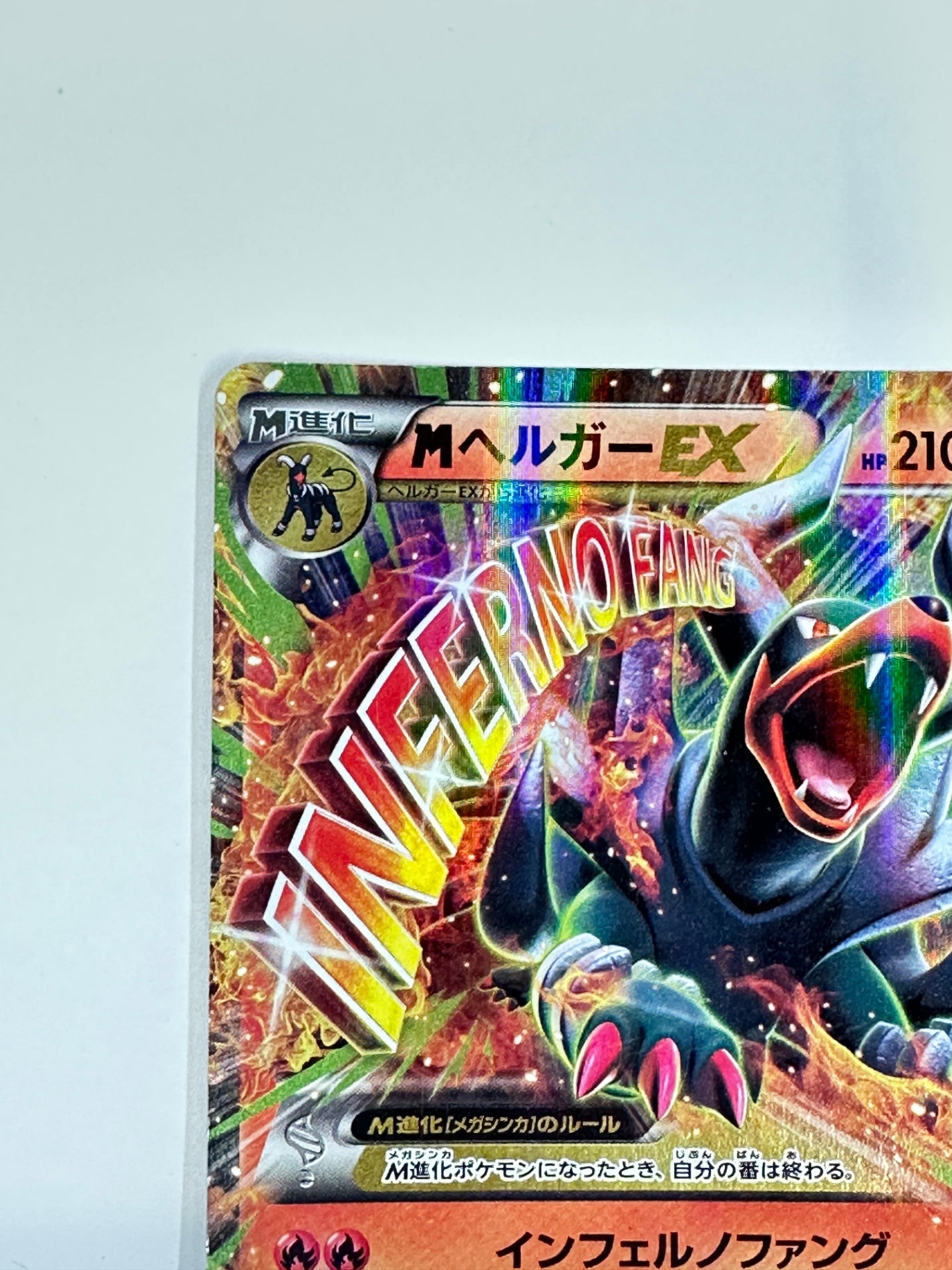 010/059 1ED)MヘルガーEX 【状態C】