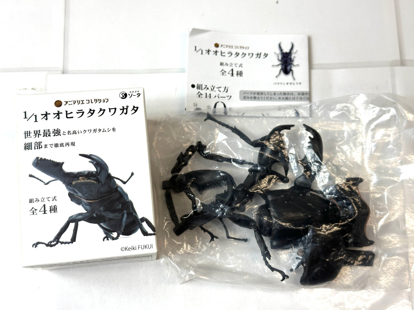 内装未開封品 アニマリエコレクション 1/1オオヒラタクワガタ 2個セット 組み立て式 スタジオソータ フィギュア 10/10