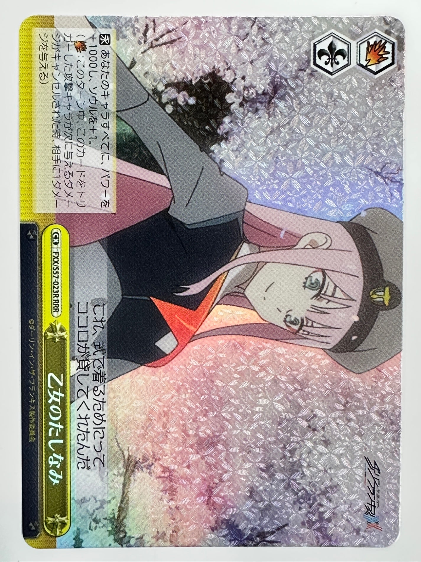 FXX/S57-023RRRR 乙女のたしなみ