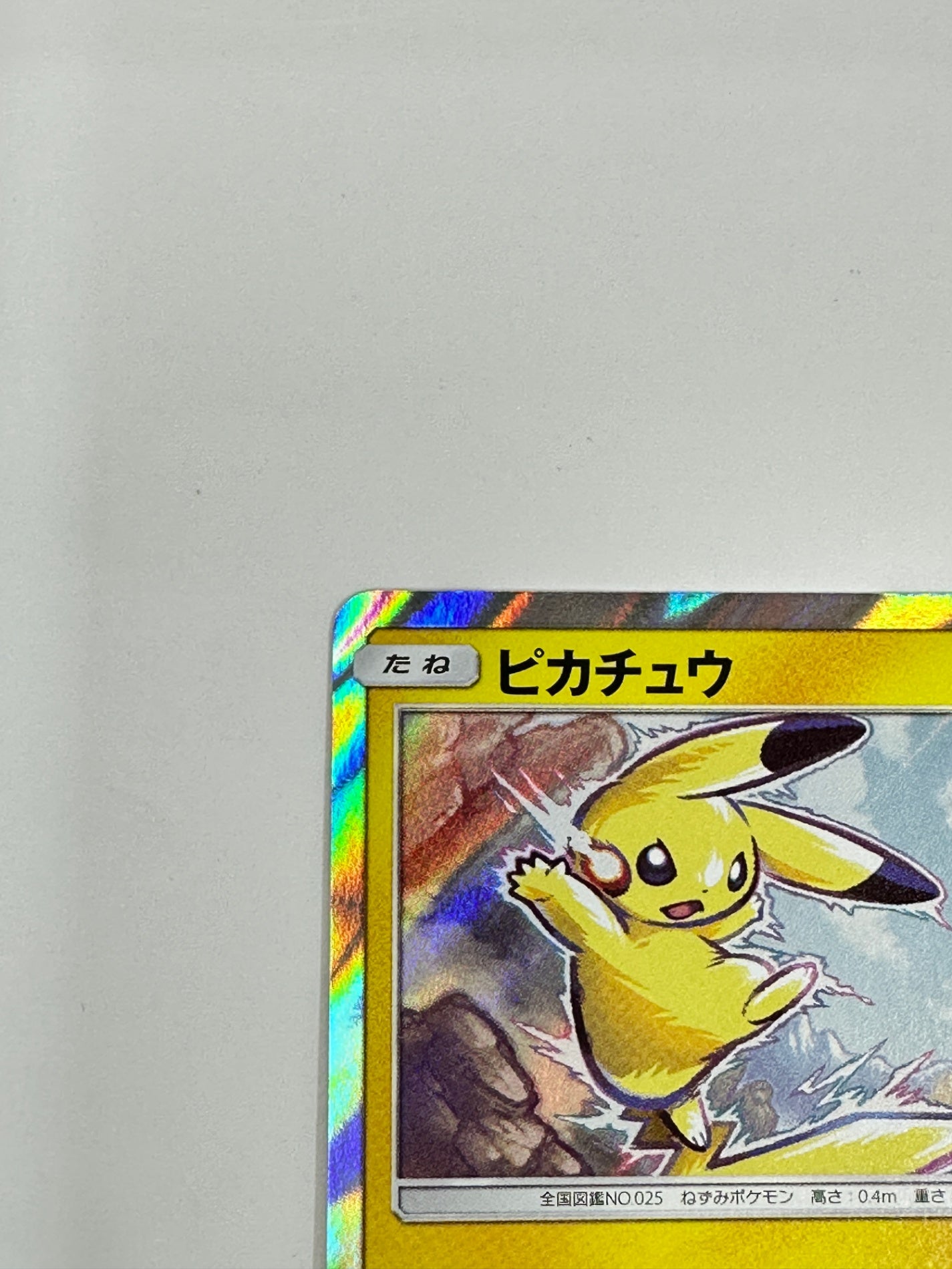 307/SM-P ピカチュウ 【状態B】