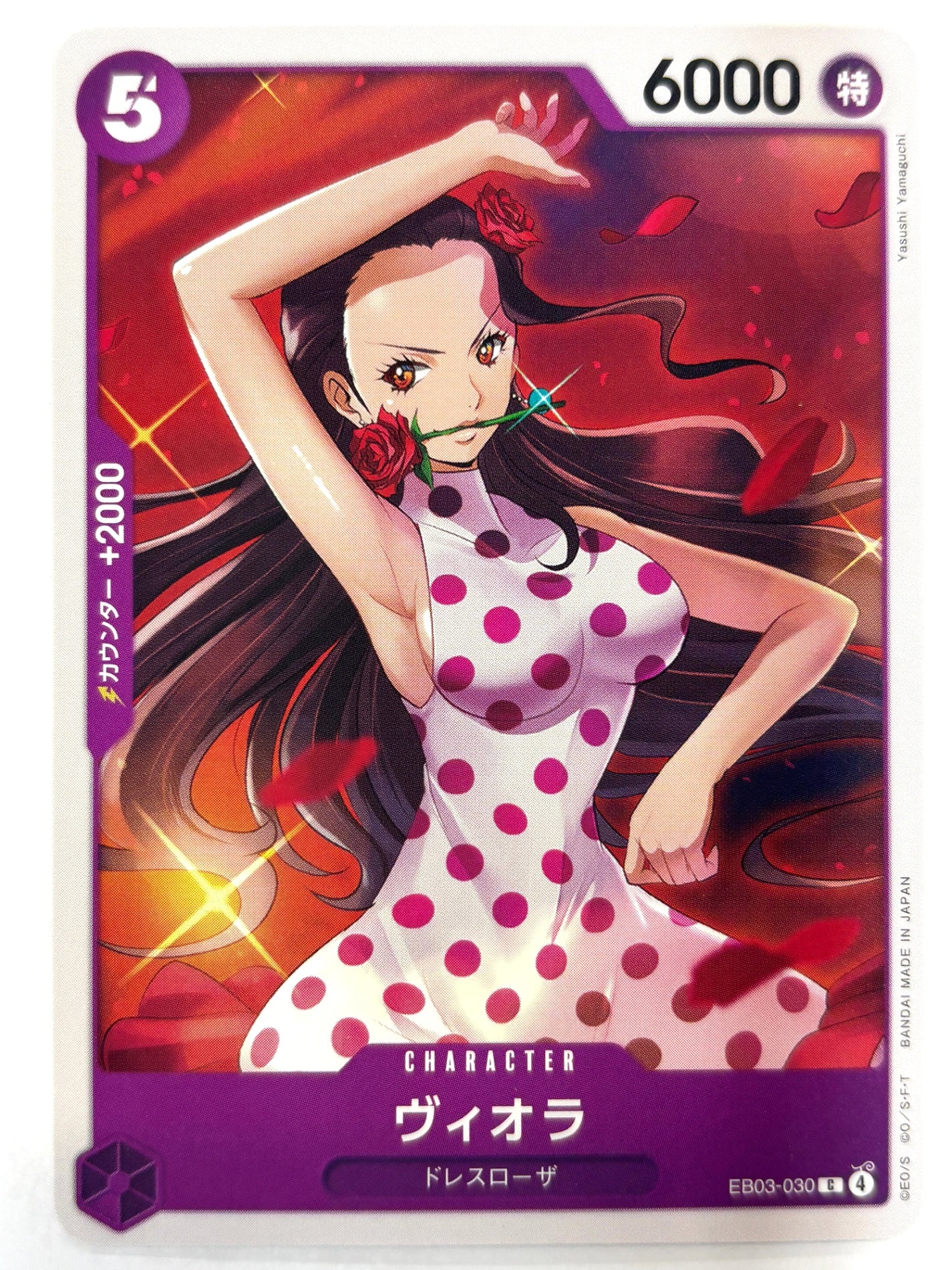 EB03-030 ヴィオラ