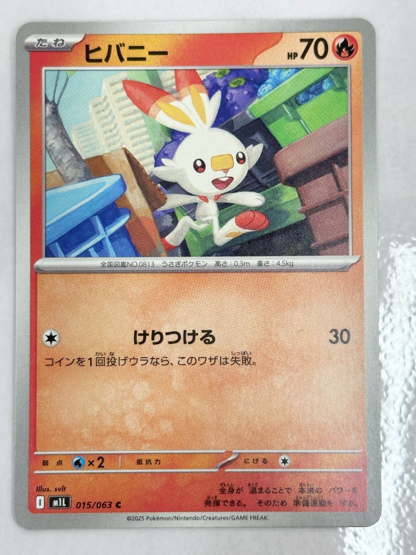 015/063 ヒバニー
