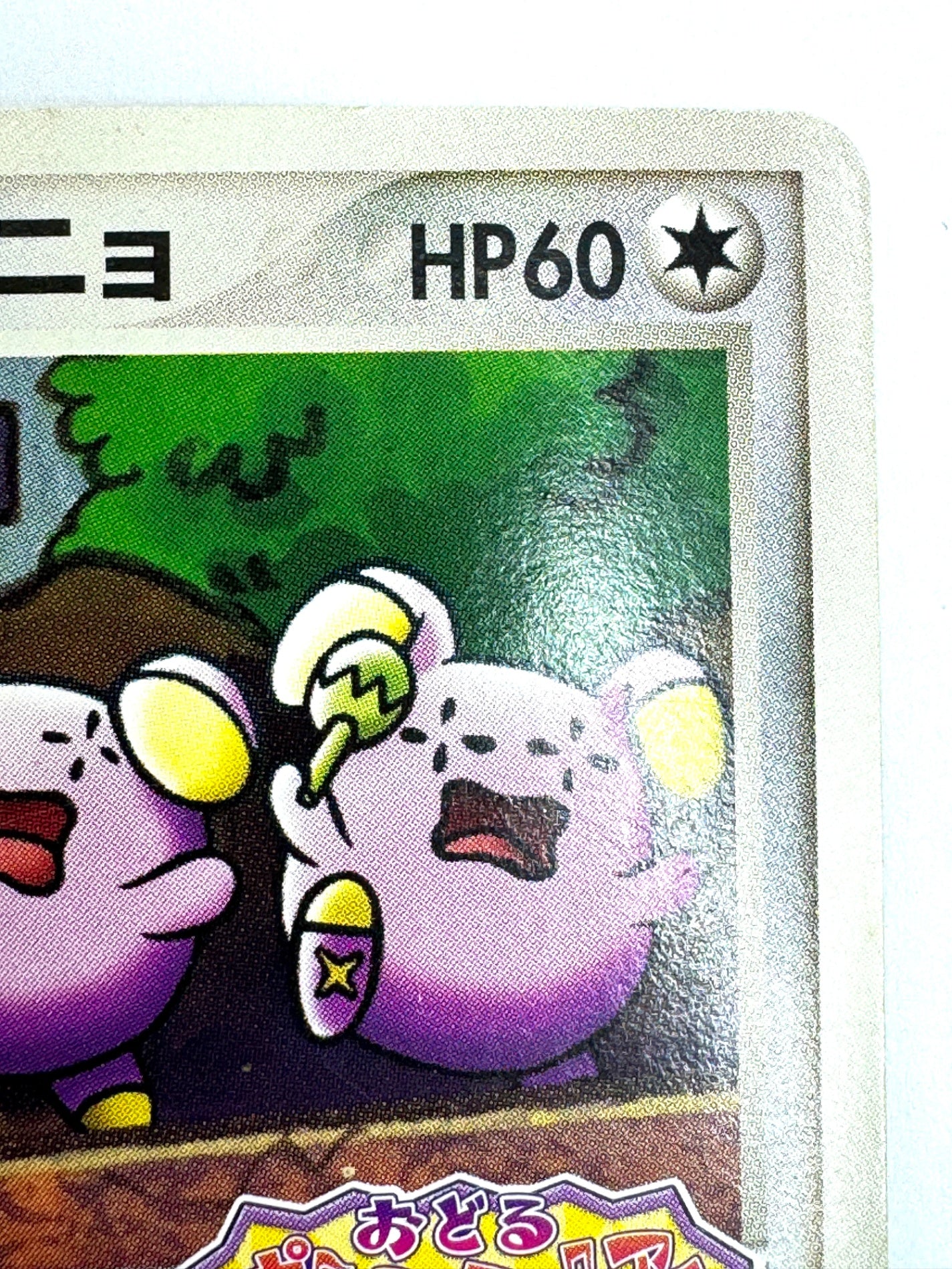 046/PCG-P ポケパークのゴニョニョ 【状態C】