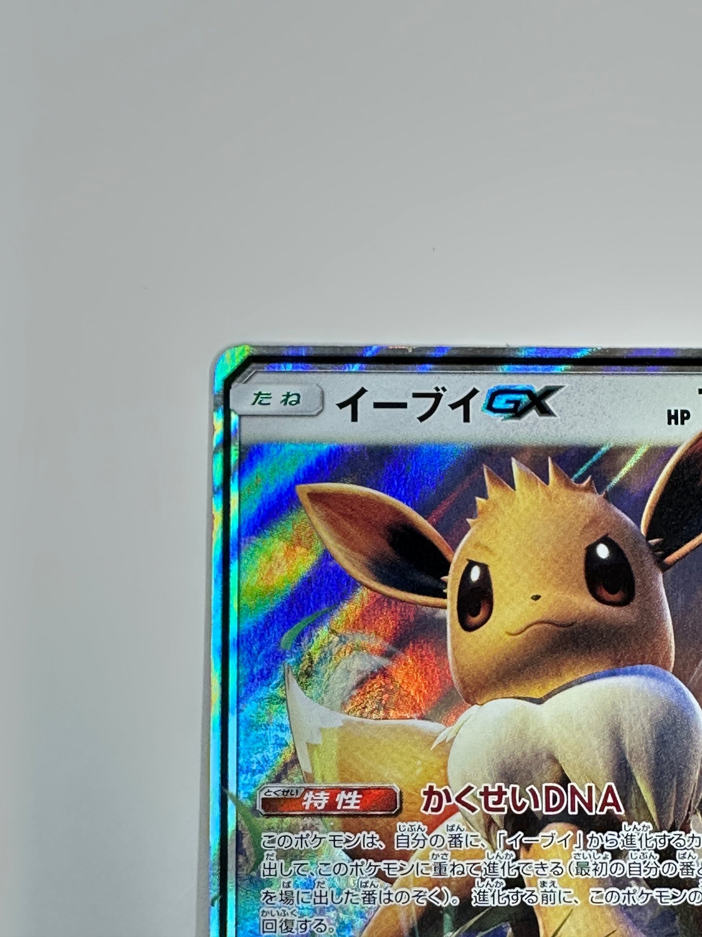 019/038/SMI/B イーブイGX 【状態C】
