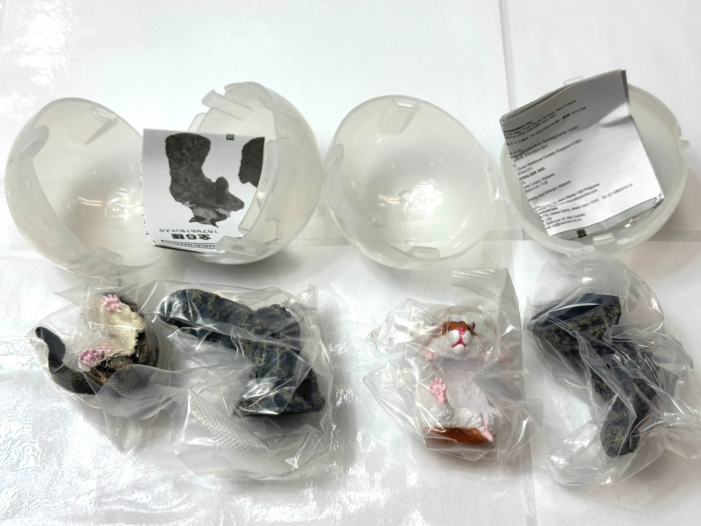 いきもの大図鑑 指まきコレクション 小動物 7個セット フクロモモンガ ハムスター BANDAI ガシャポン フィギュア 8/22