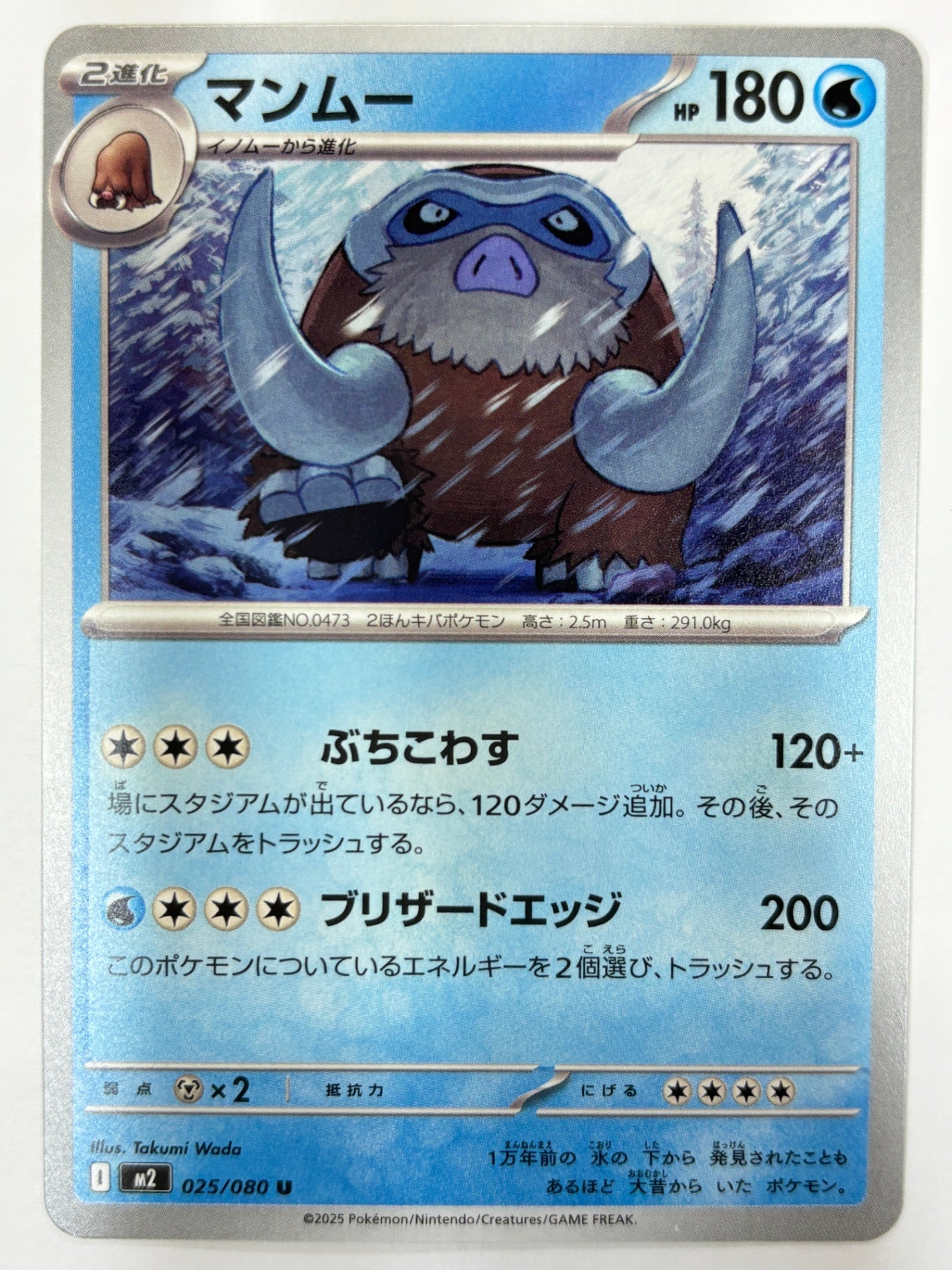 025/080 マンムー