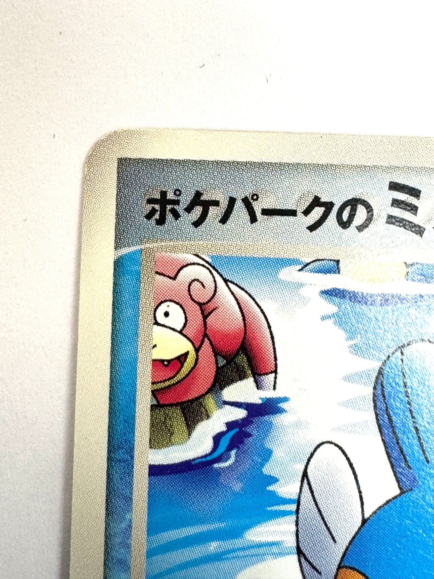 048/PCG-P ポケパークのミズゴロウ 【状態C】