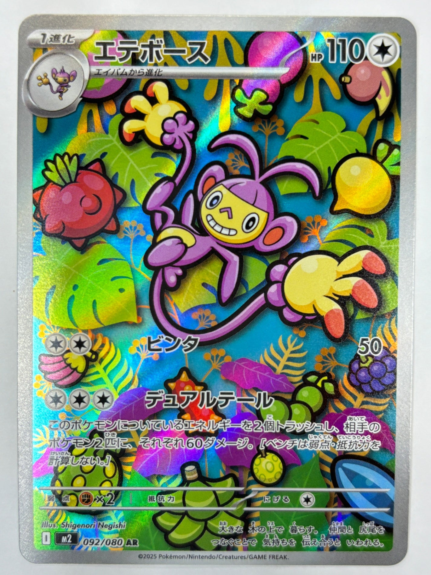 092/080 エテボース