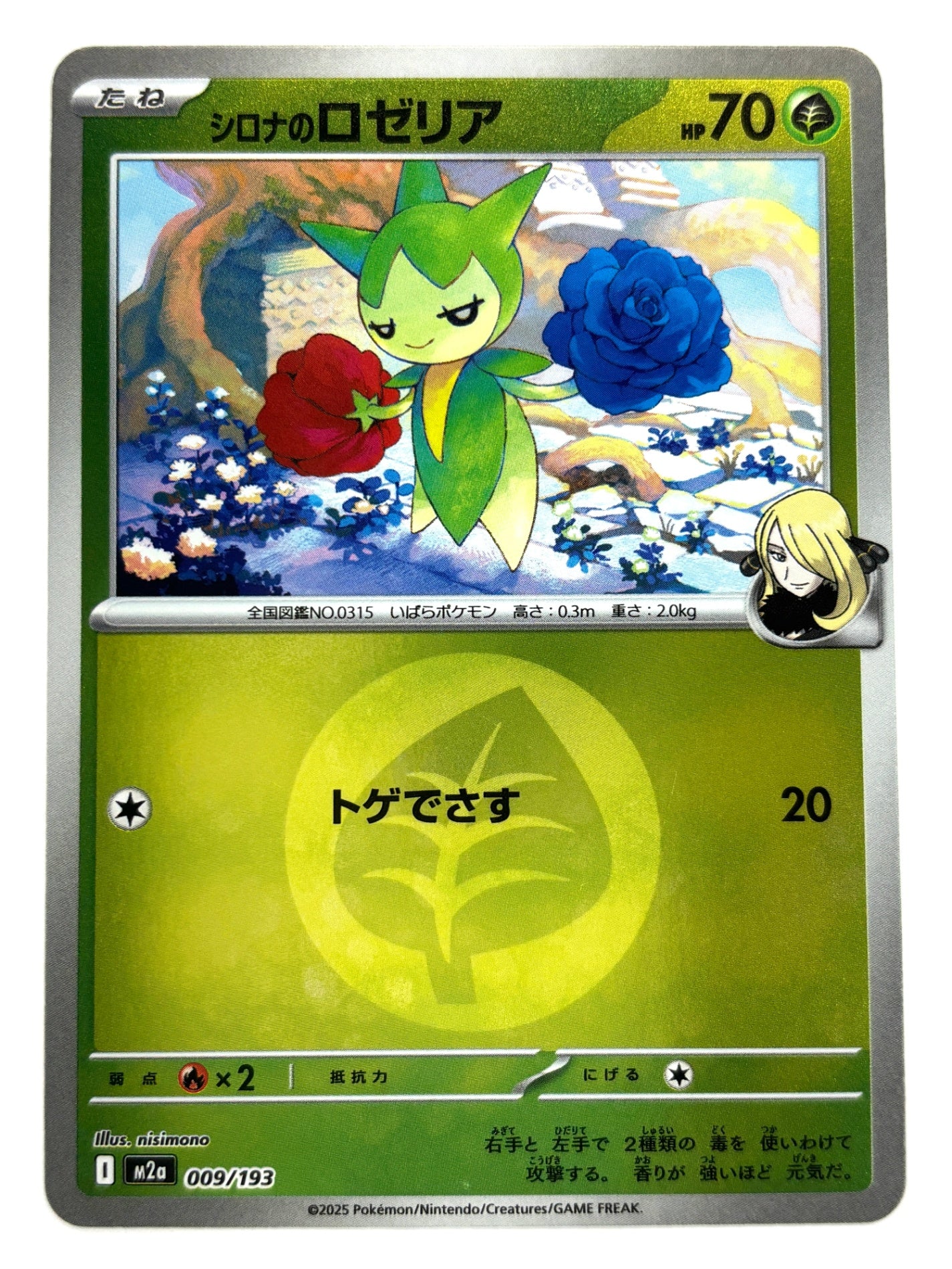 009/193 ミラー)シロナのロゼリア(エネルギー柄)