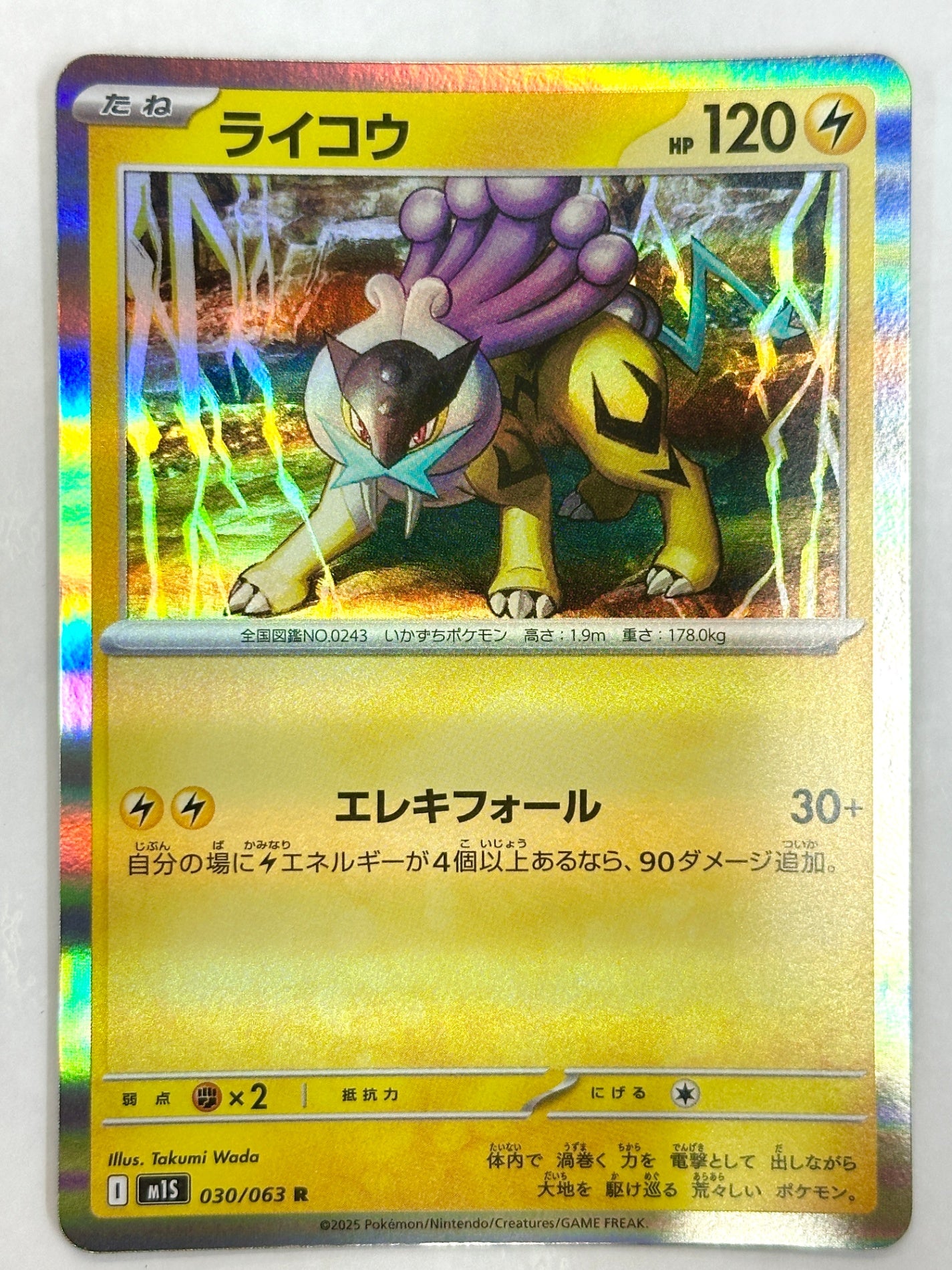 030/063 ライコウ