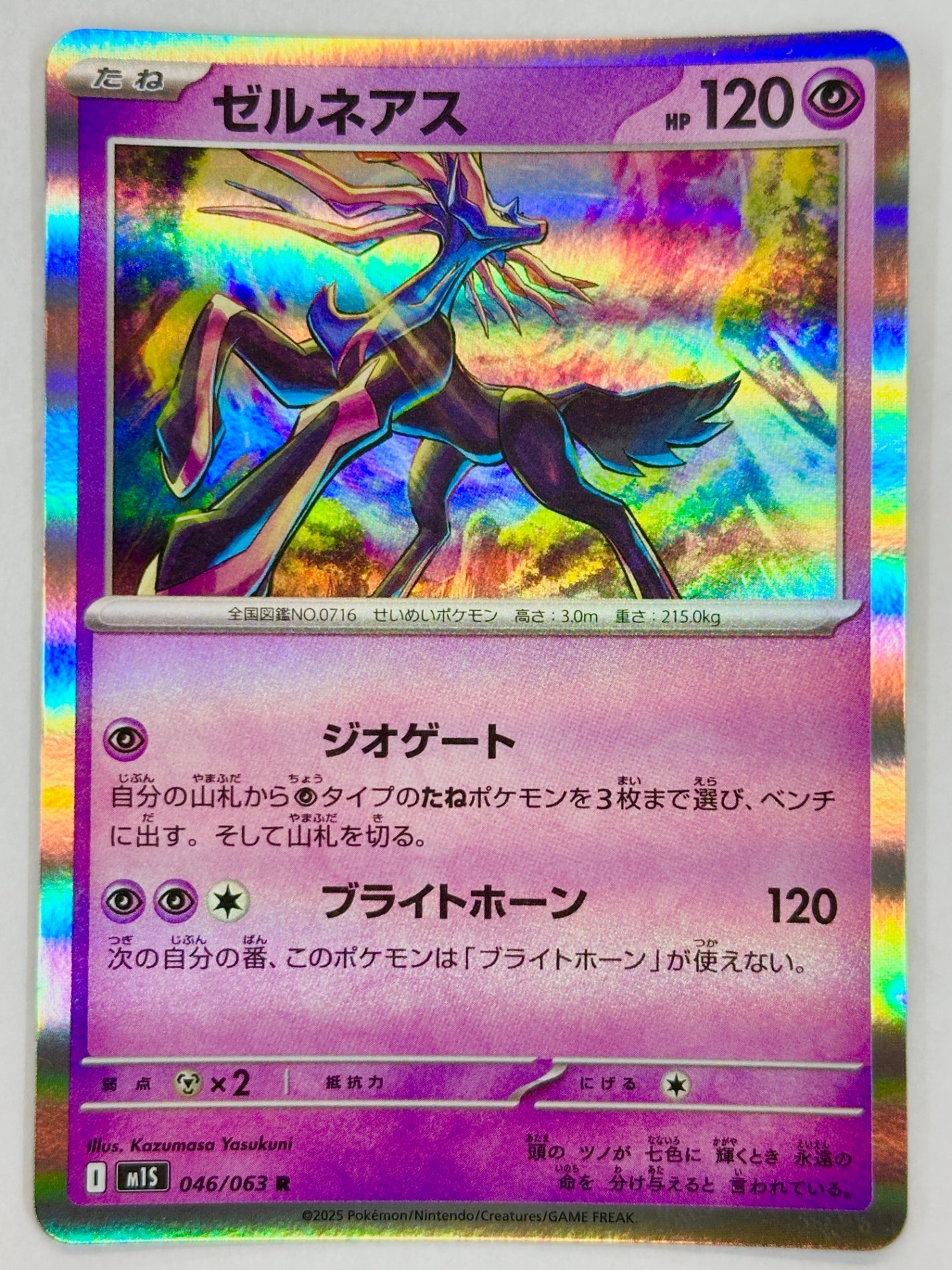 046/063 ゼルネアス