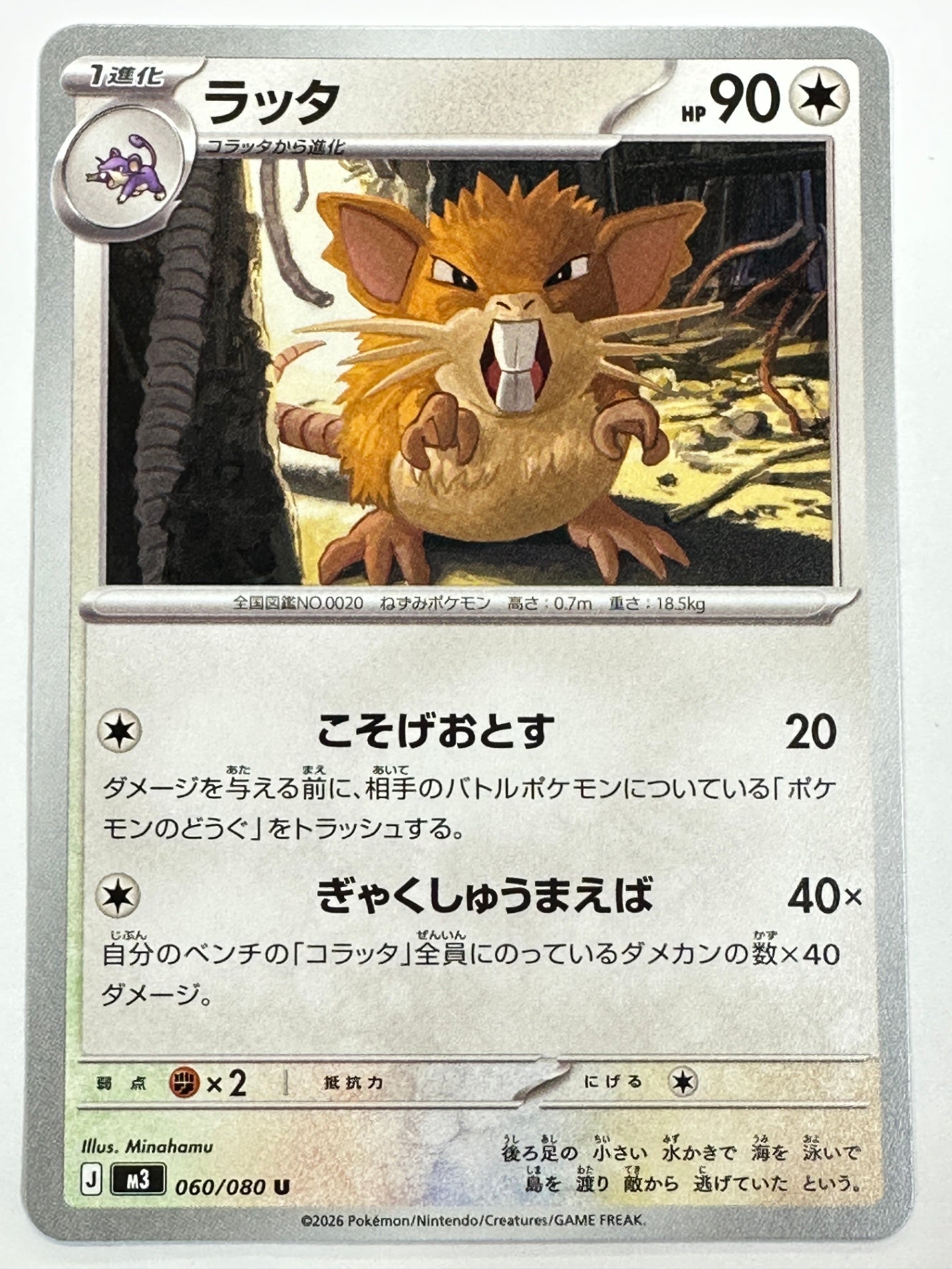 060/080 ラッタ