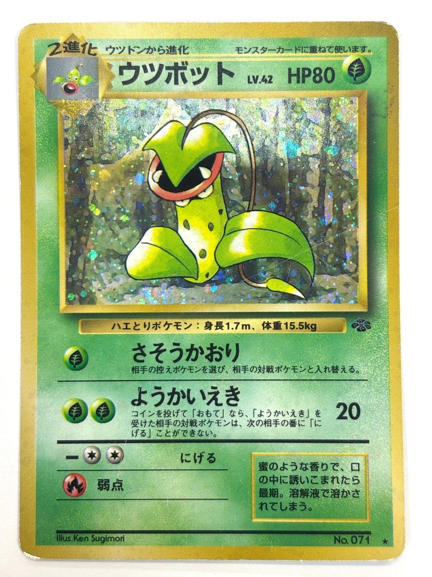 LV42HP80NO071-ORG2 ウツボット(右中央:ラフレシア)