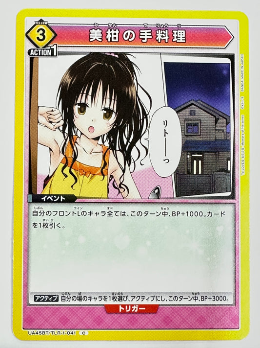 UA45BT/TLR-1-041C 美柑の手料理