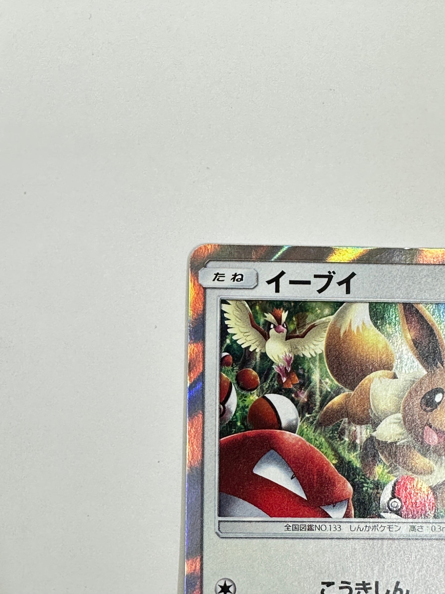 306/SM-P イーブイ　【状態B】