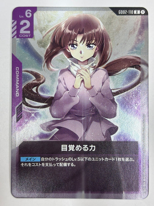 GD02-110 目覚める力