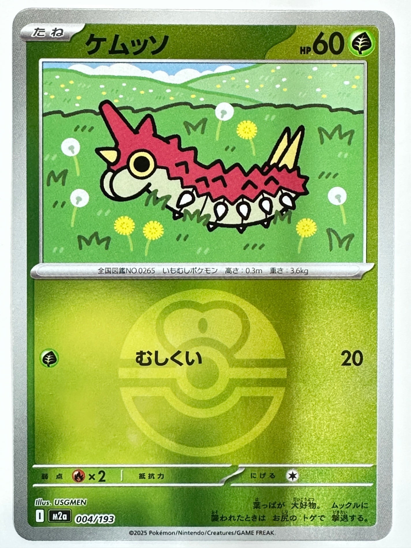 004/193 ミラー)ケムッソ(ボール柄)