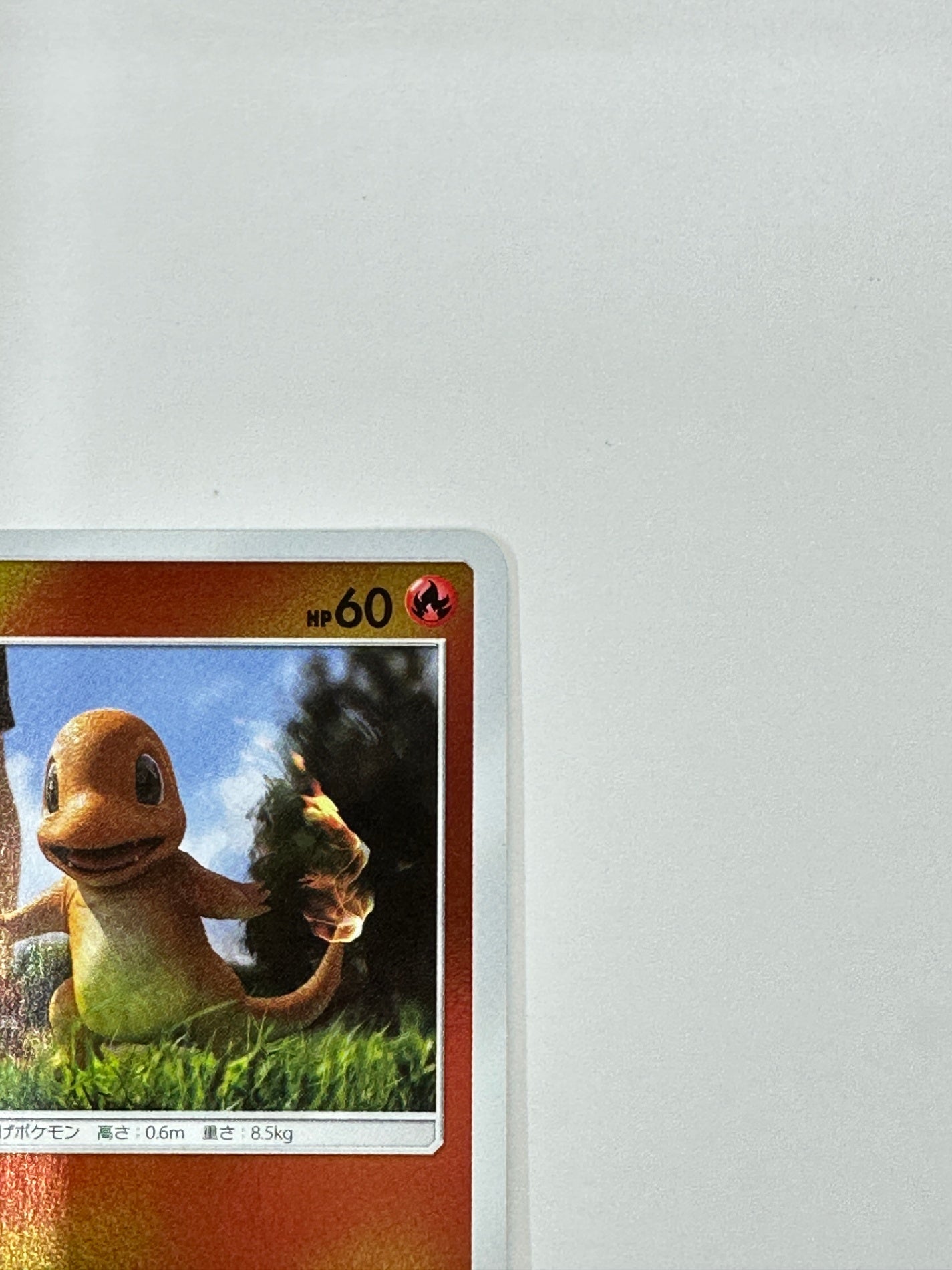 005/024 ヒトカゲ