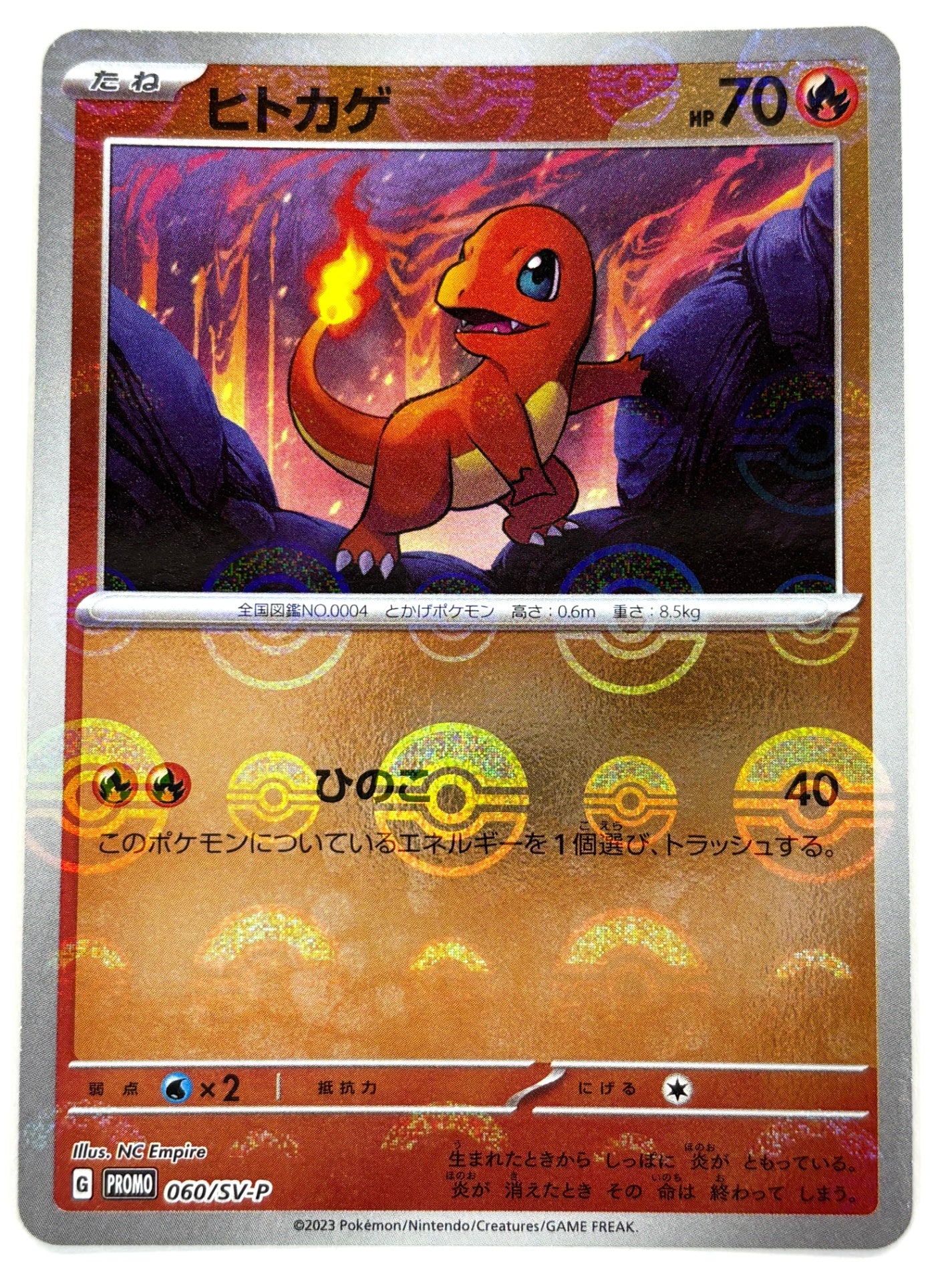 060/SV/P ヒトカゲ