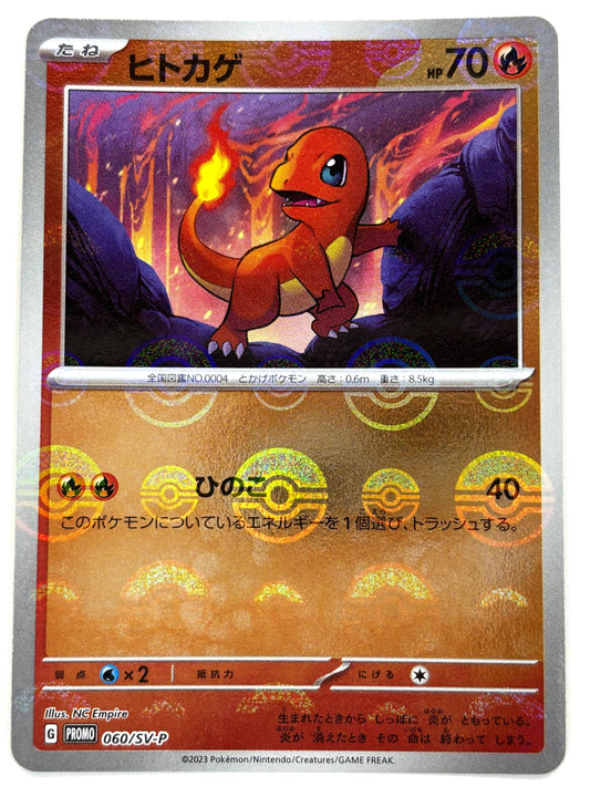 060/SV/P ヒトカゲ