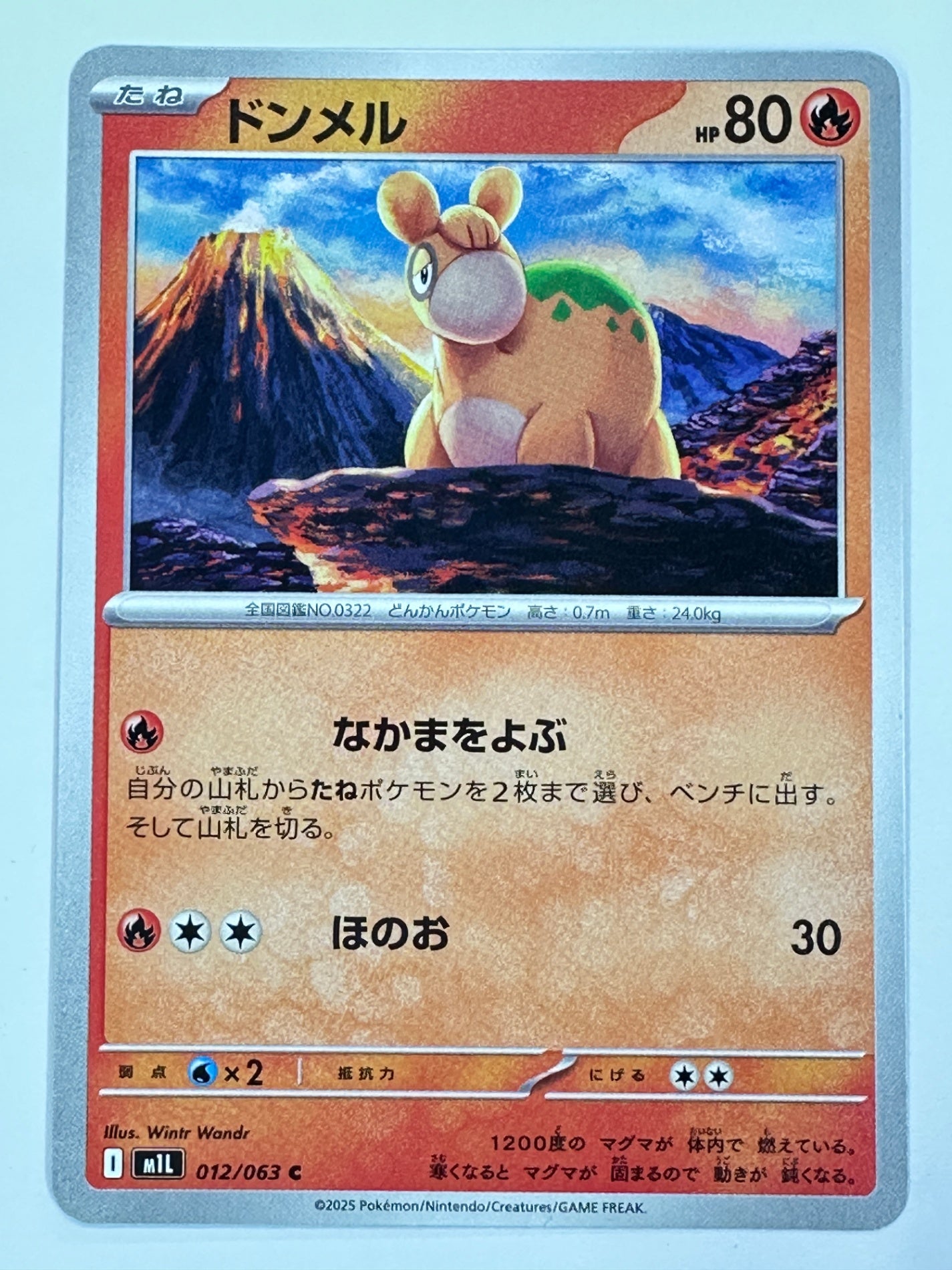 012/063 ドンメル