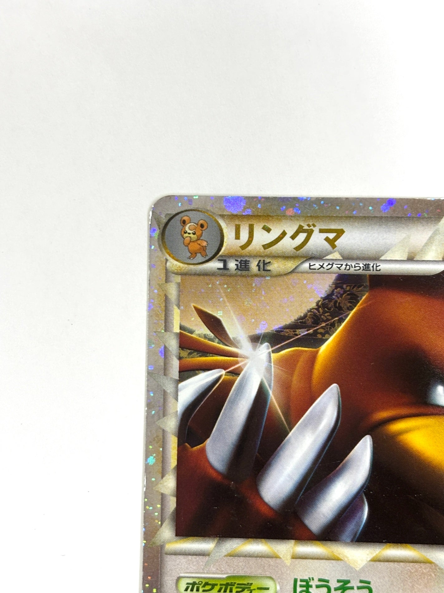 061/070 1ED)リングマ