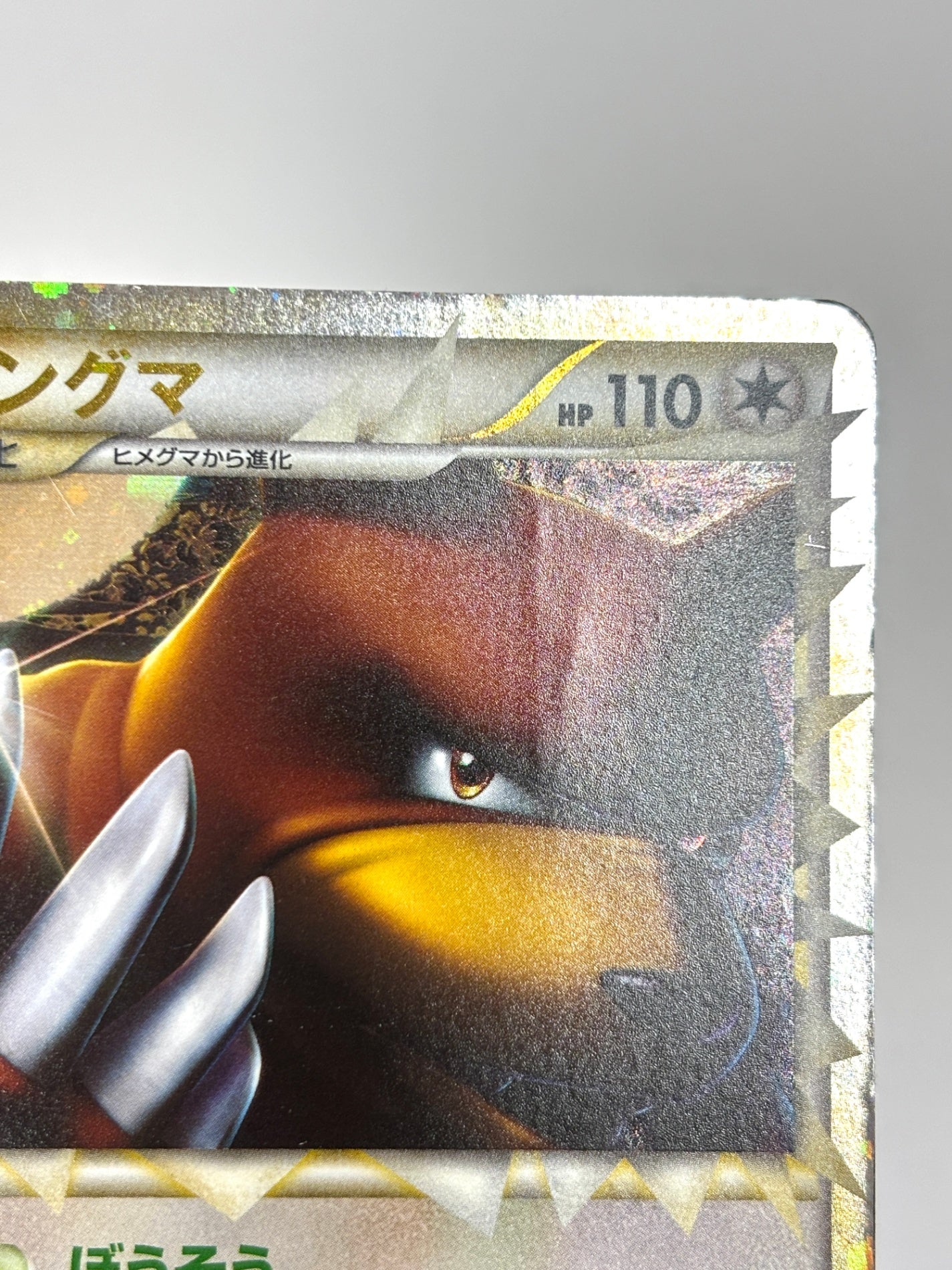 061/070 1ED)リングマ