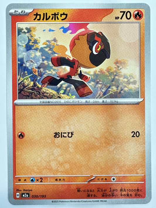 030/193 カルボウ