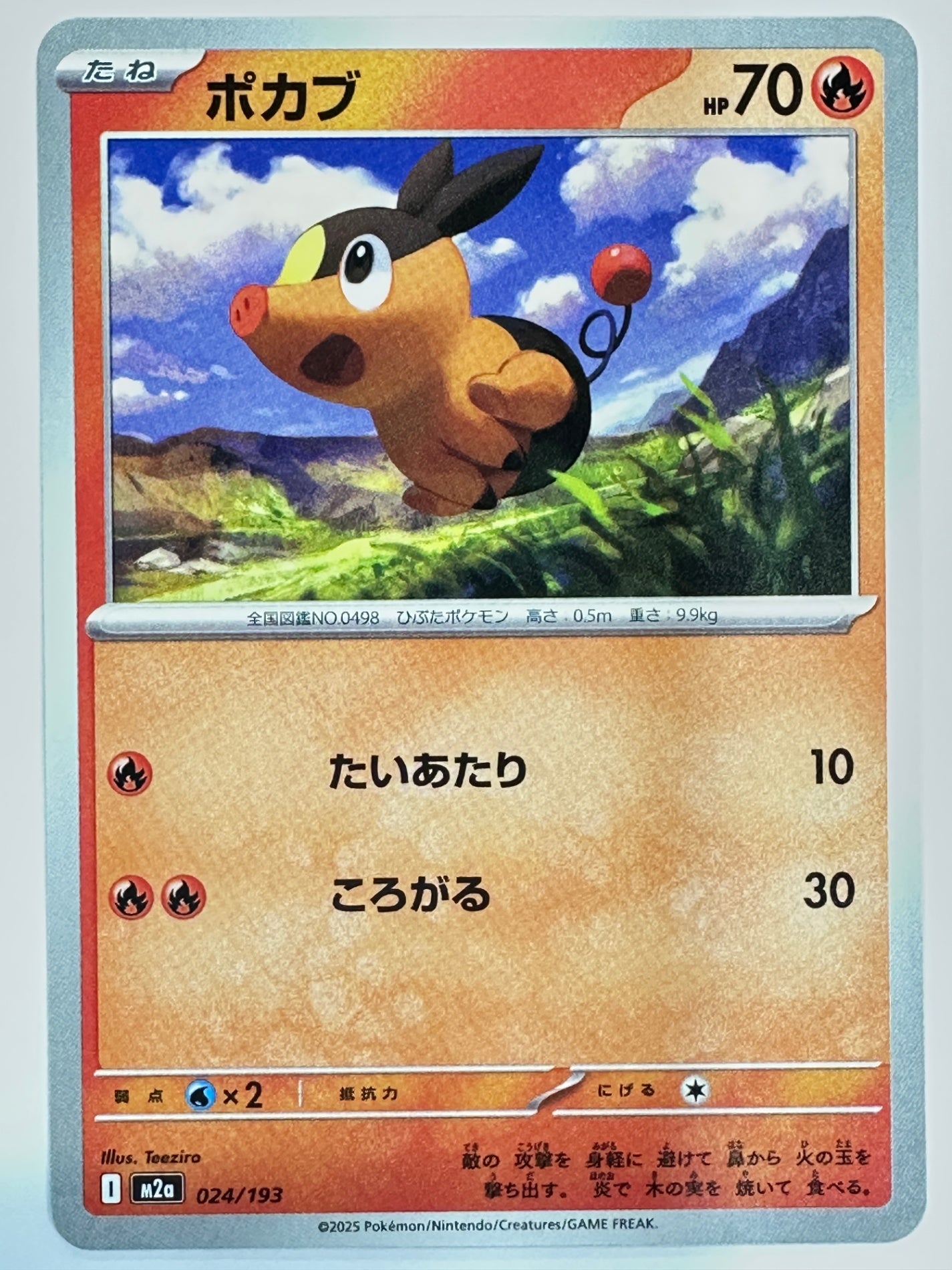 024/193 ポカブ