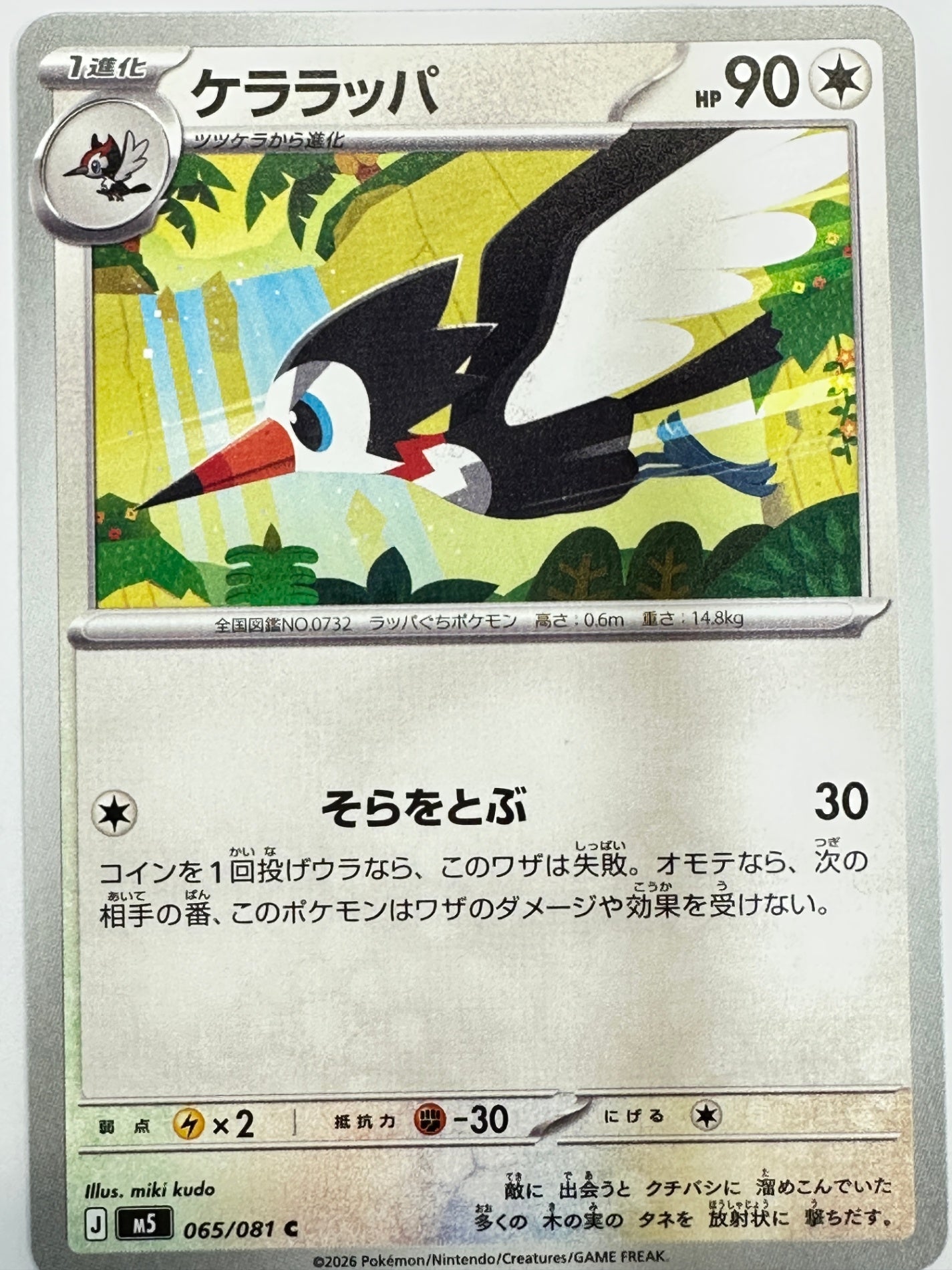 065/081 ケララッパ