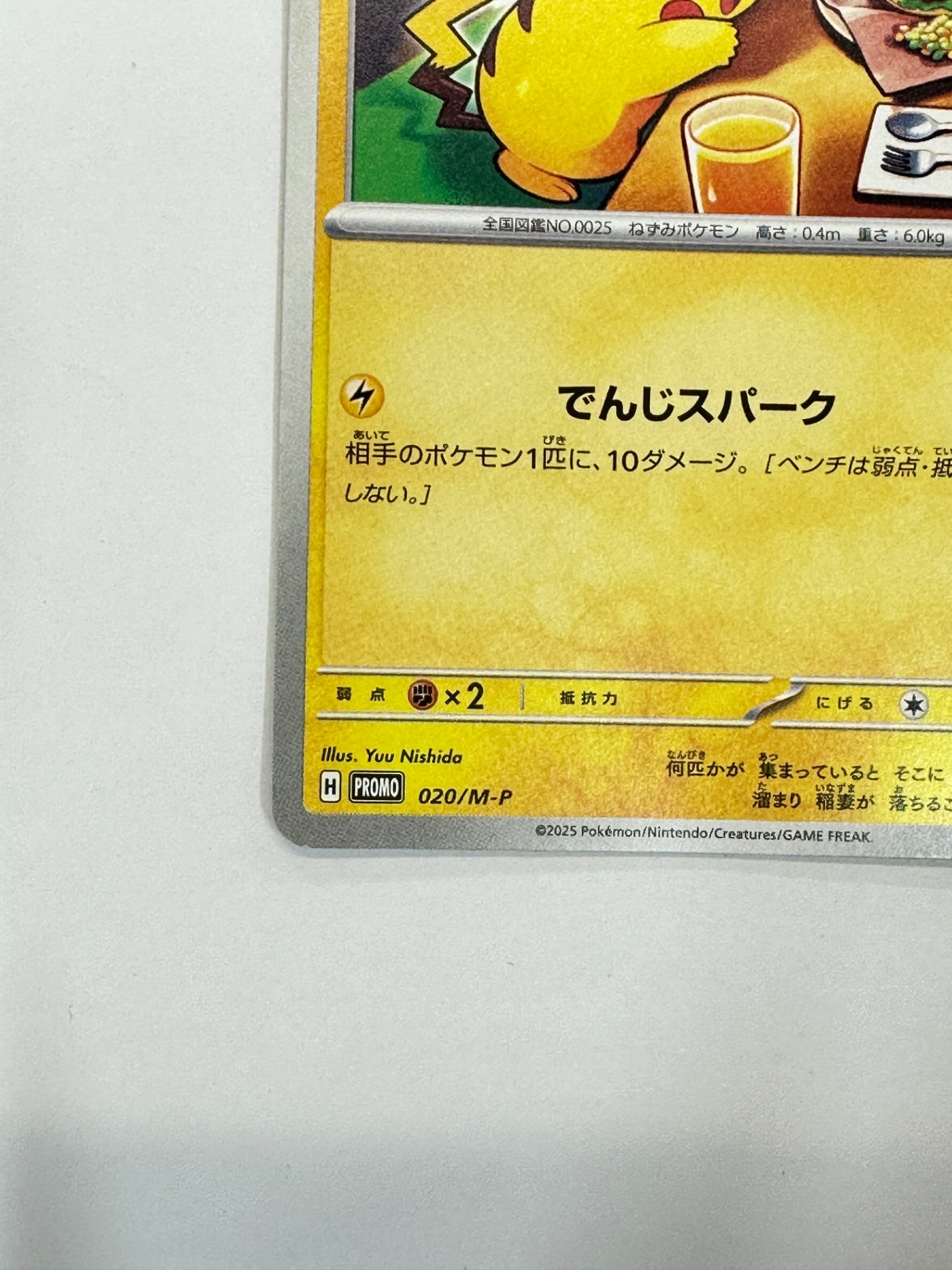 020/M-P ピカチュウ