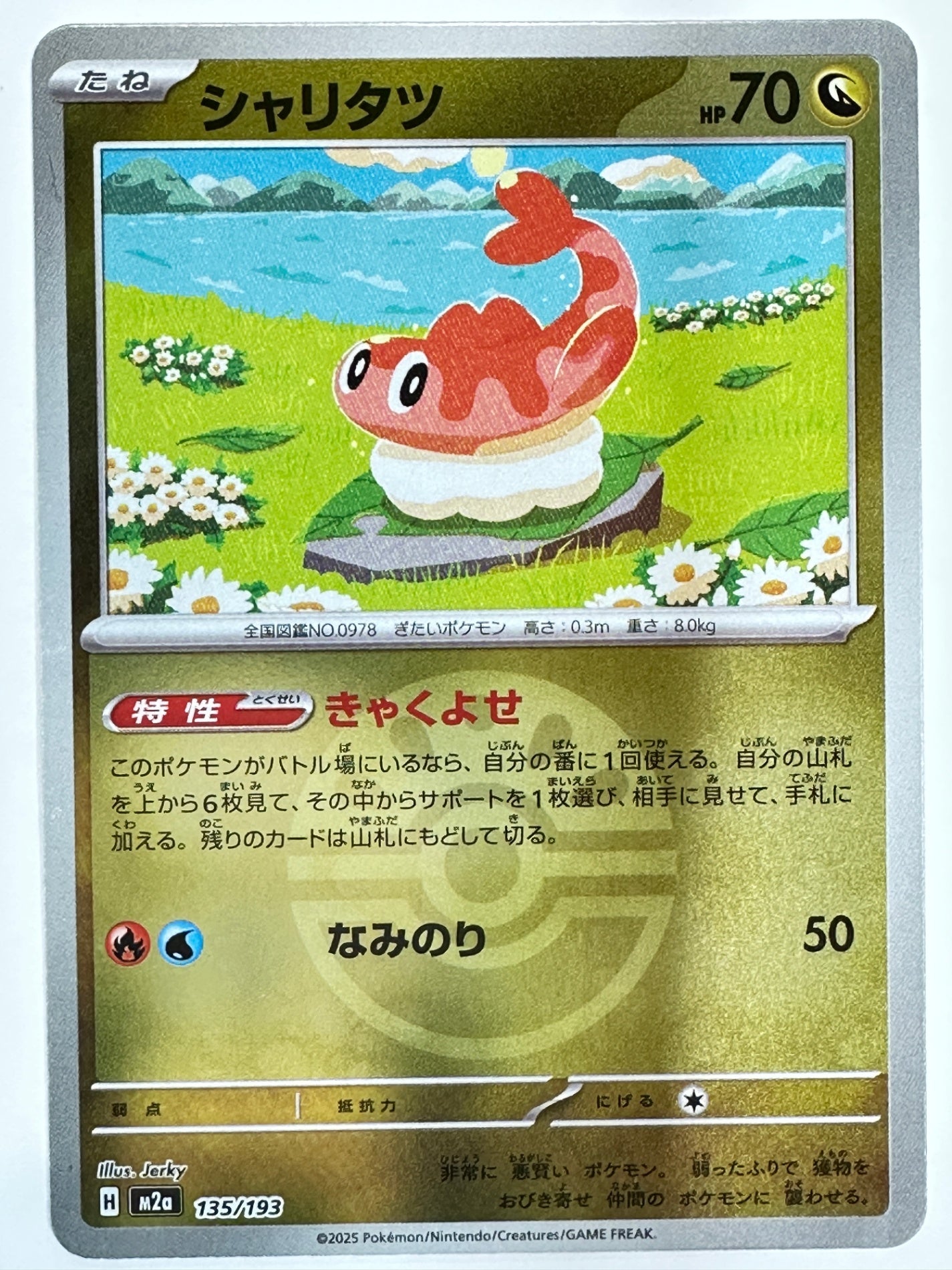 135/193 ミラー)シャリタツ(ボール柄)