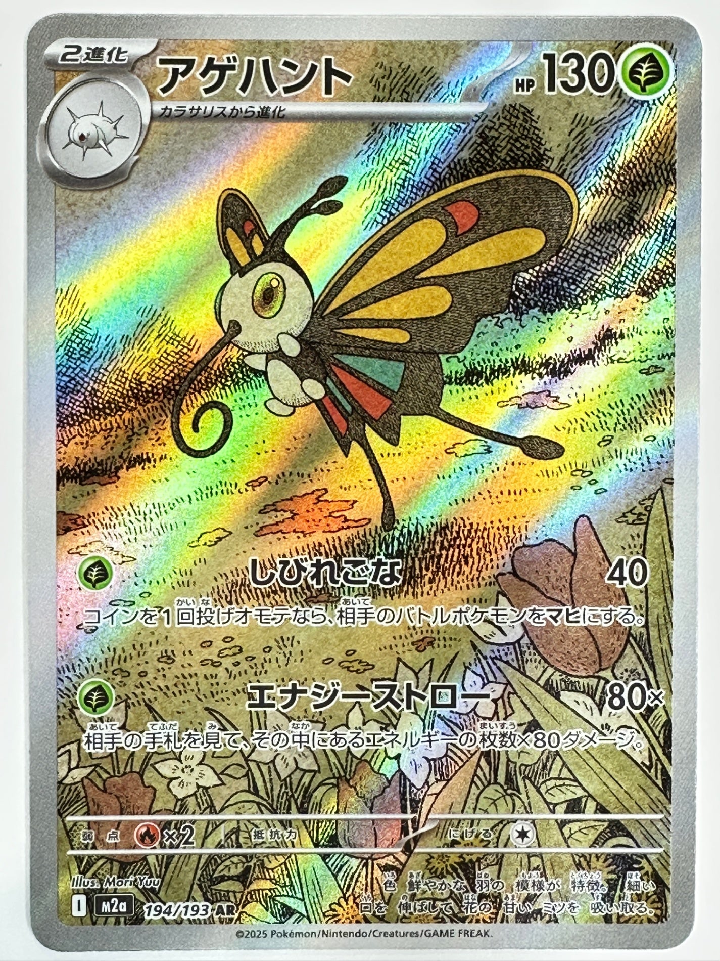 194/193 アゲハント