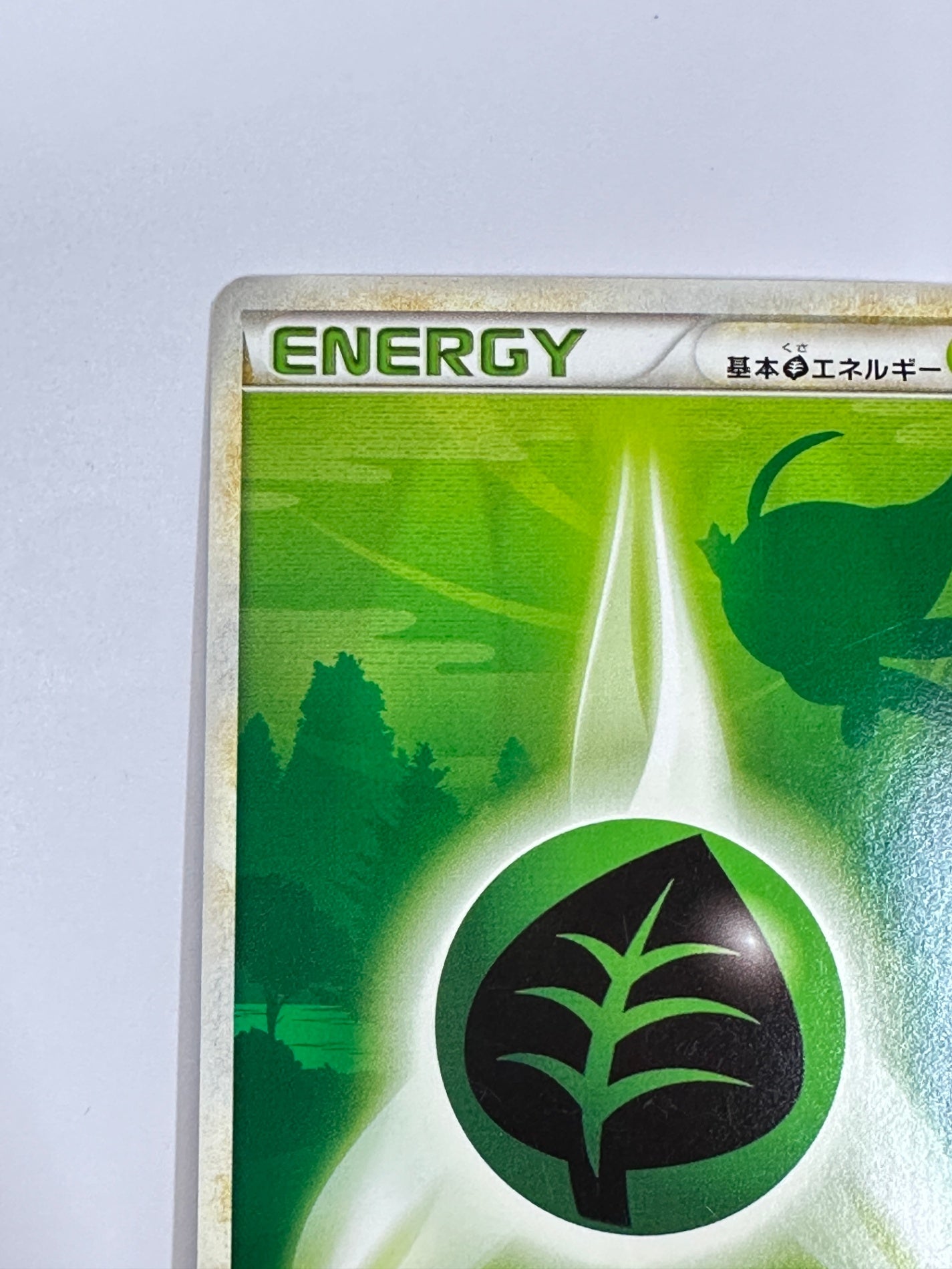 基本草エネルギー　セレビィ