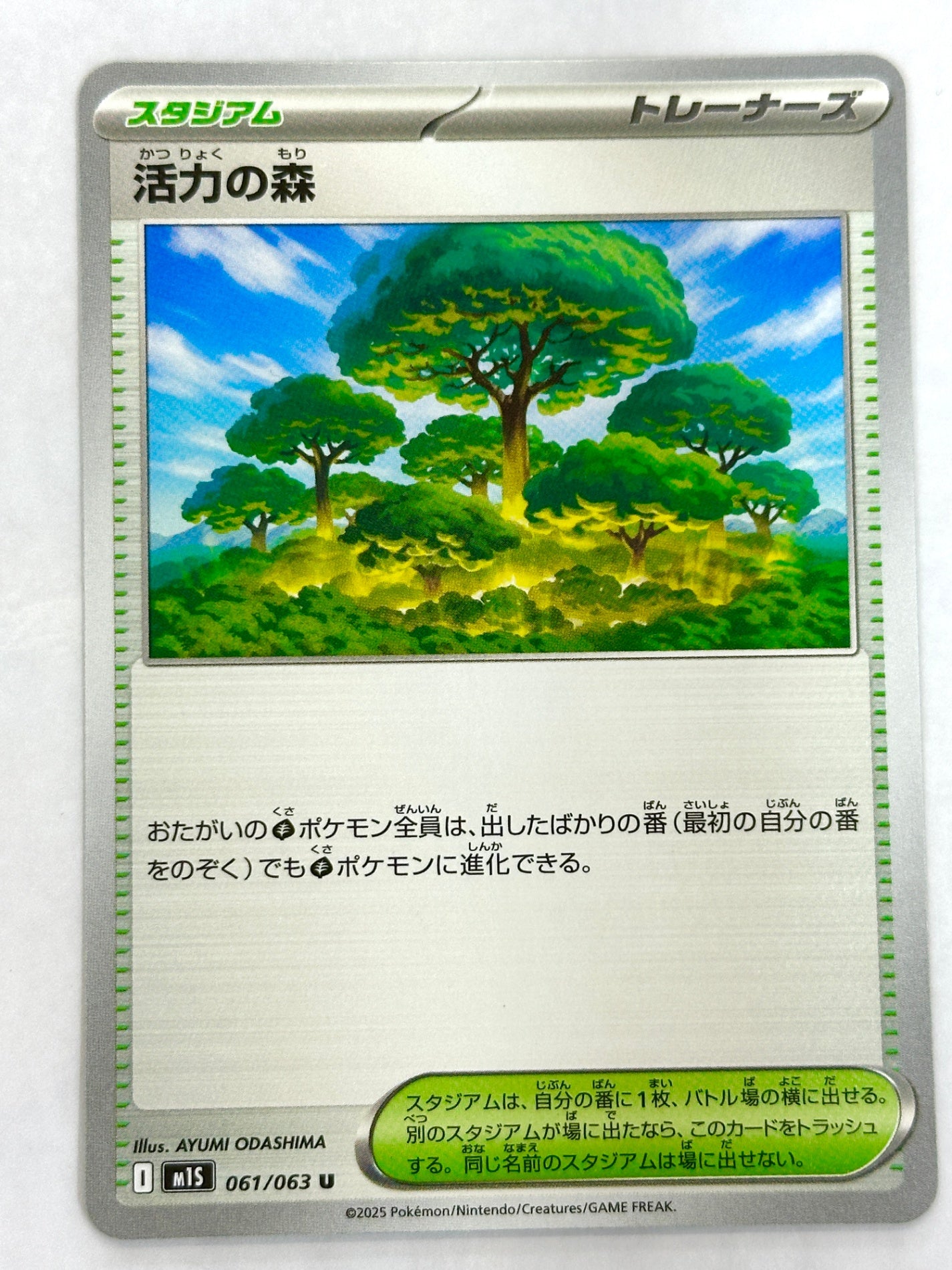 061/063 活力の森