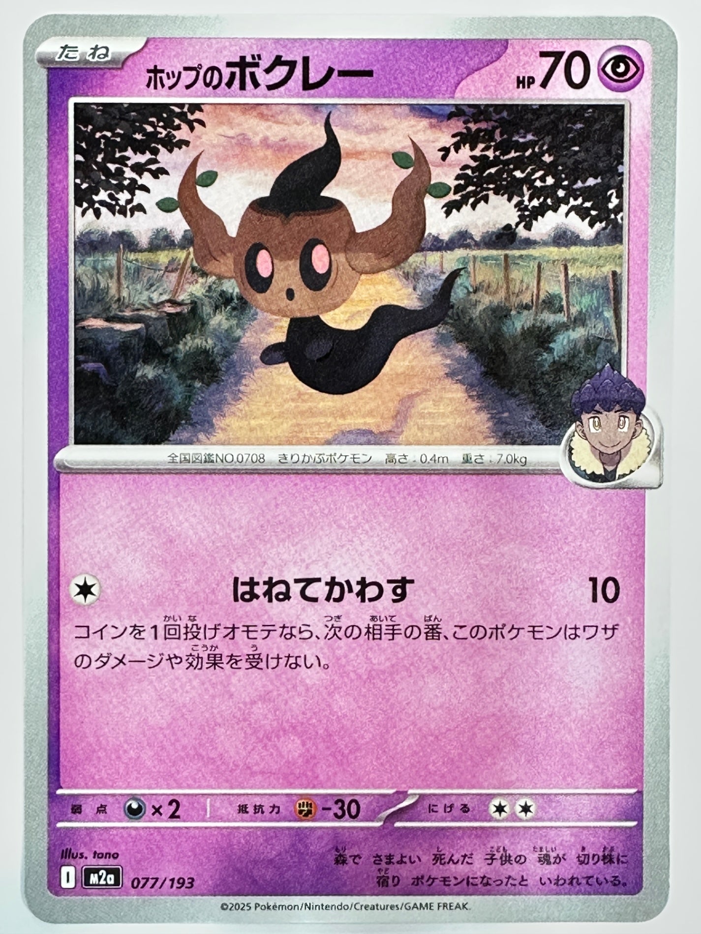 077/193 ホップのボクレー