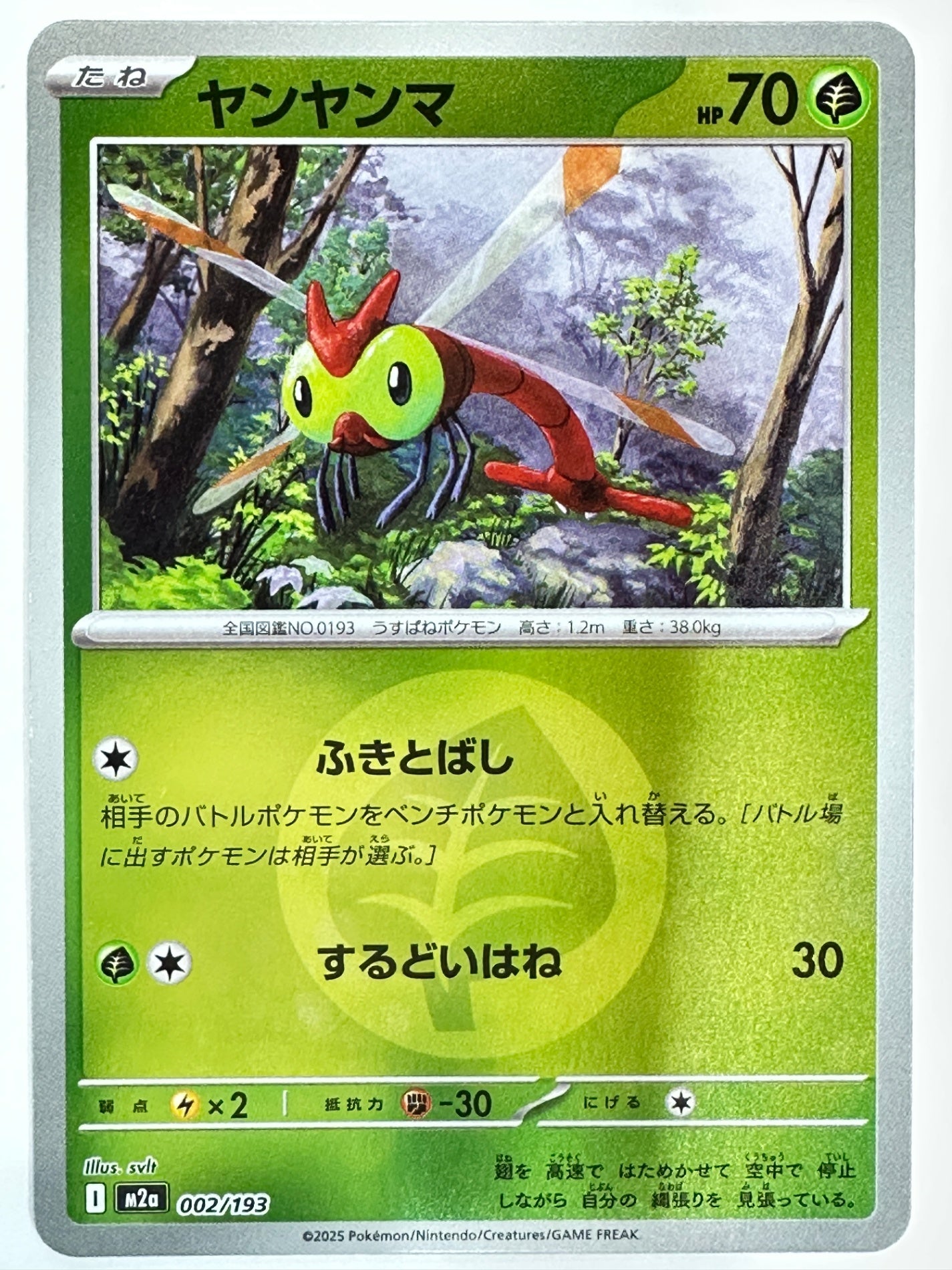 002/193 ミラー)ヤンヤンマ(エネルギー柄)