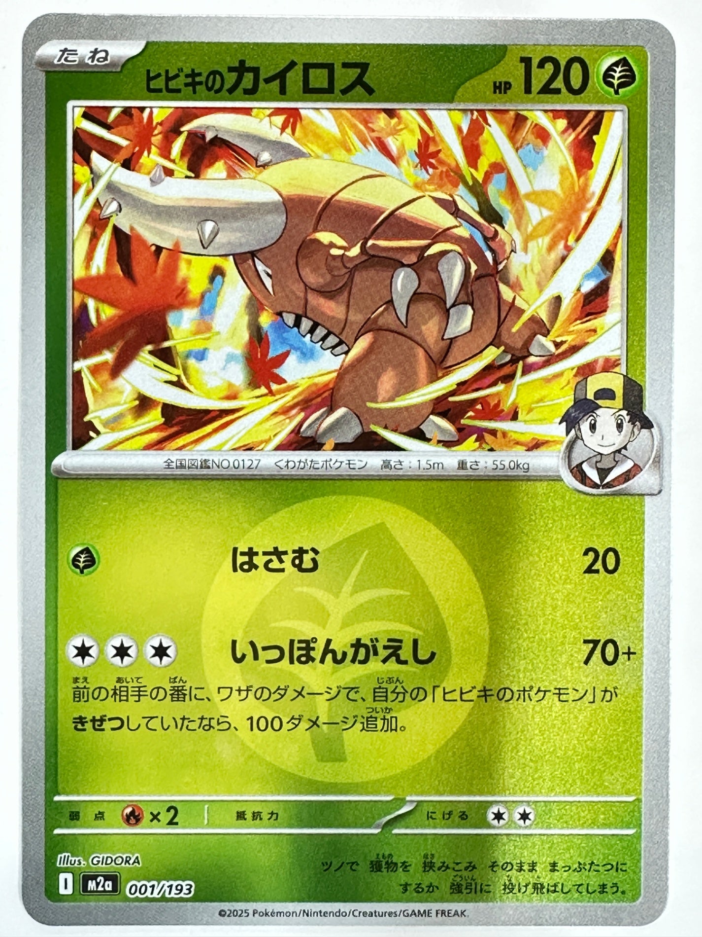 001/193 ミラー)ヒビキのカイロス(エネルギー柄)