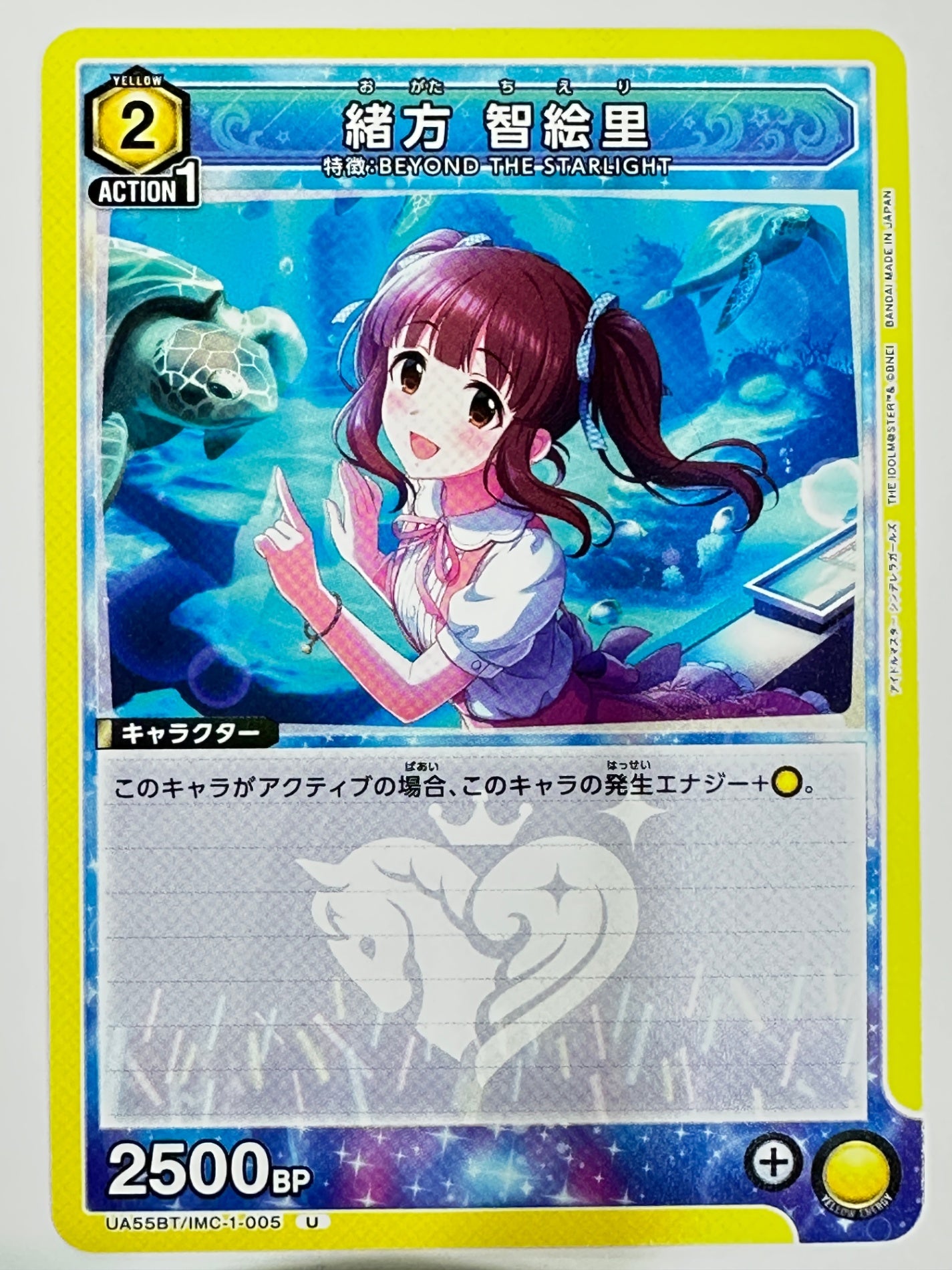UA55BT/IMC-1-005U 緒方 智絵里