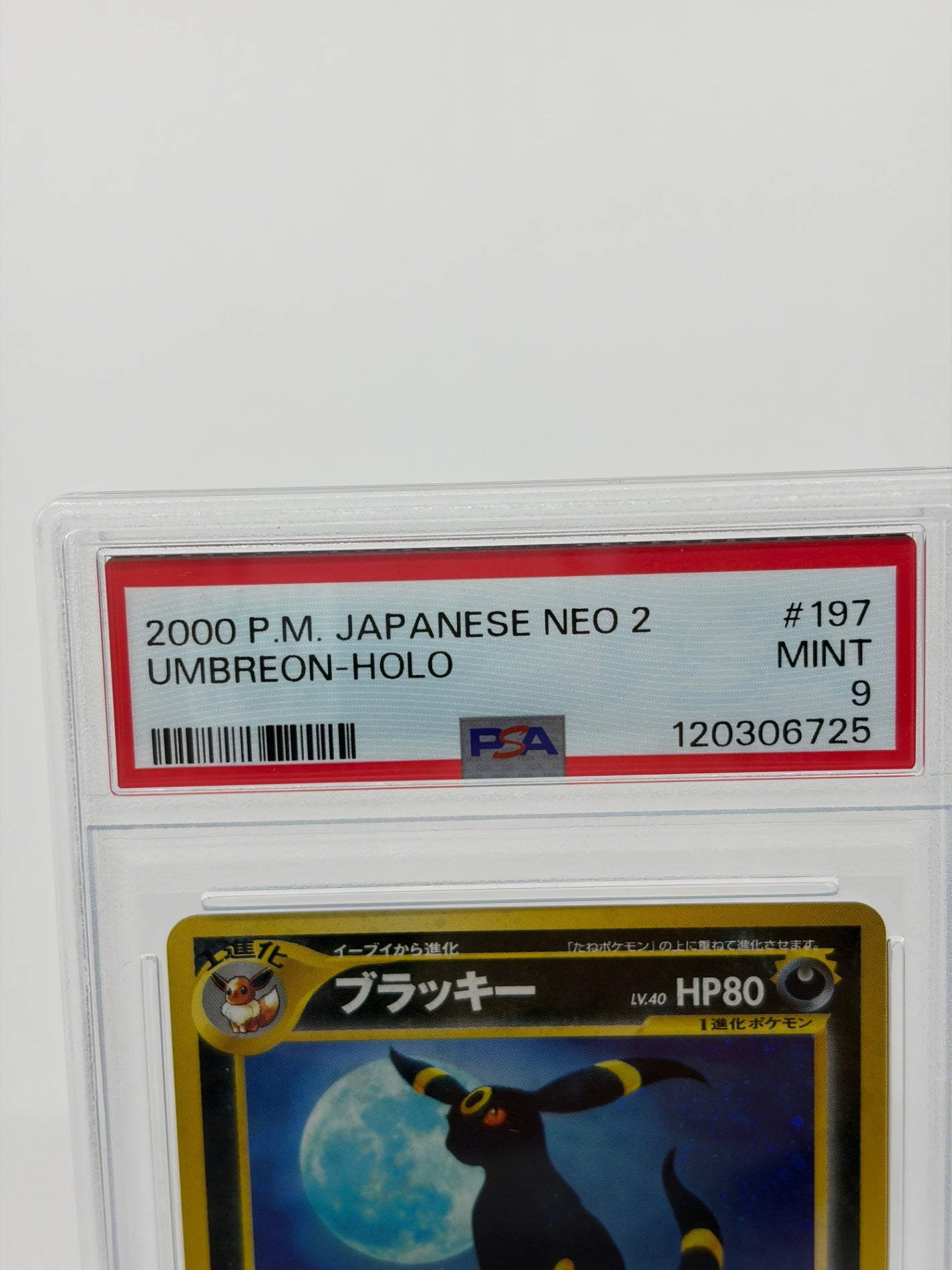 ポケモンカード PSA9 旧裏 ブラッキー Lv.40 #197 MT