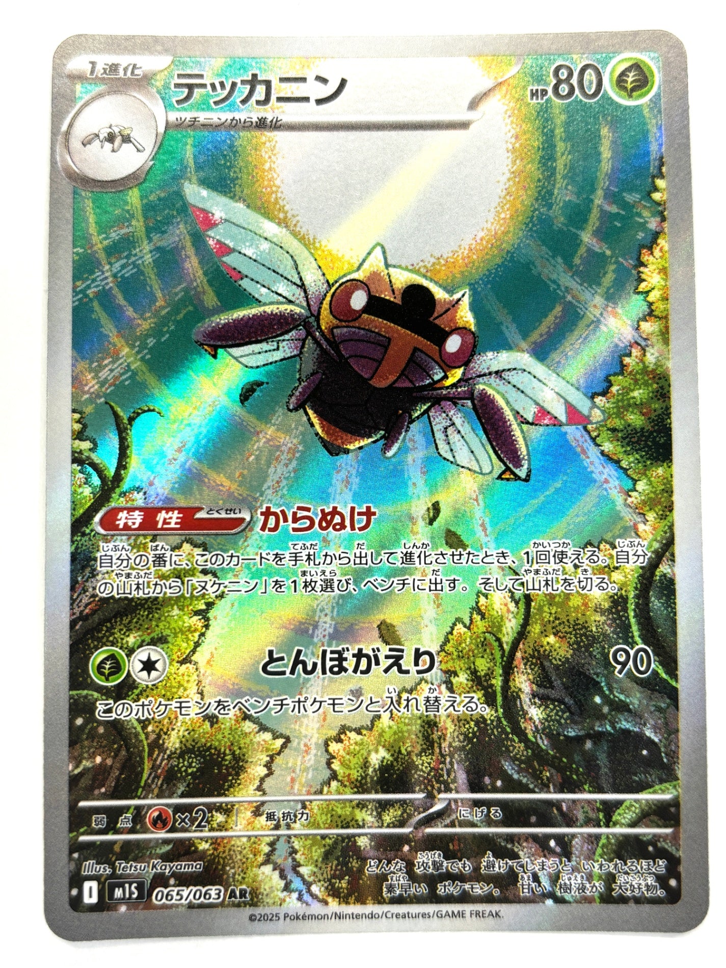 065/063 テッカニン