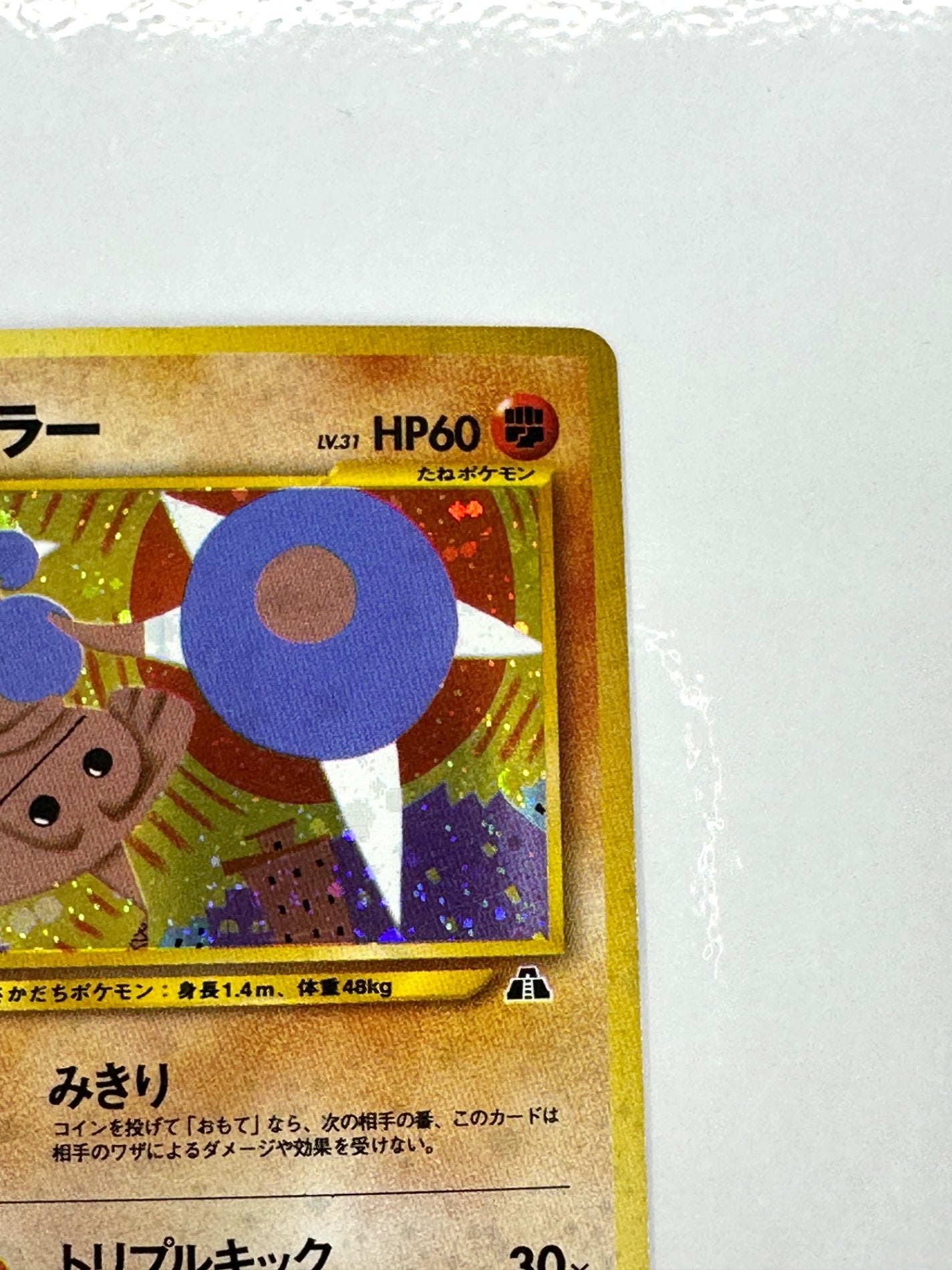 LV31HP60NO237-NEO2 カポエラー(右中央:遺跡) 【状態C】